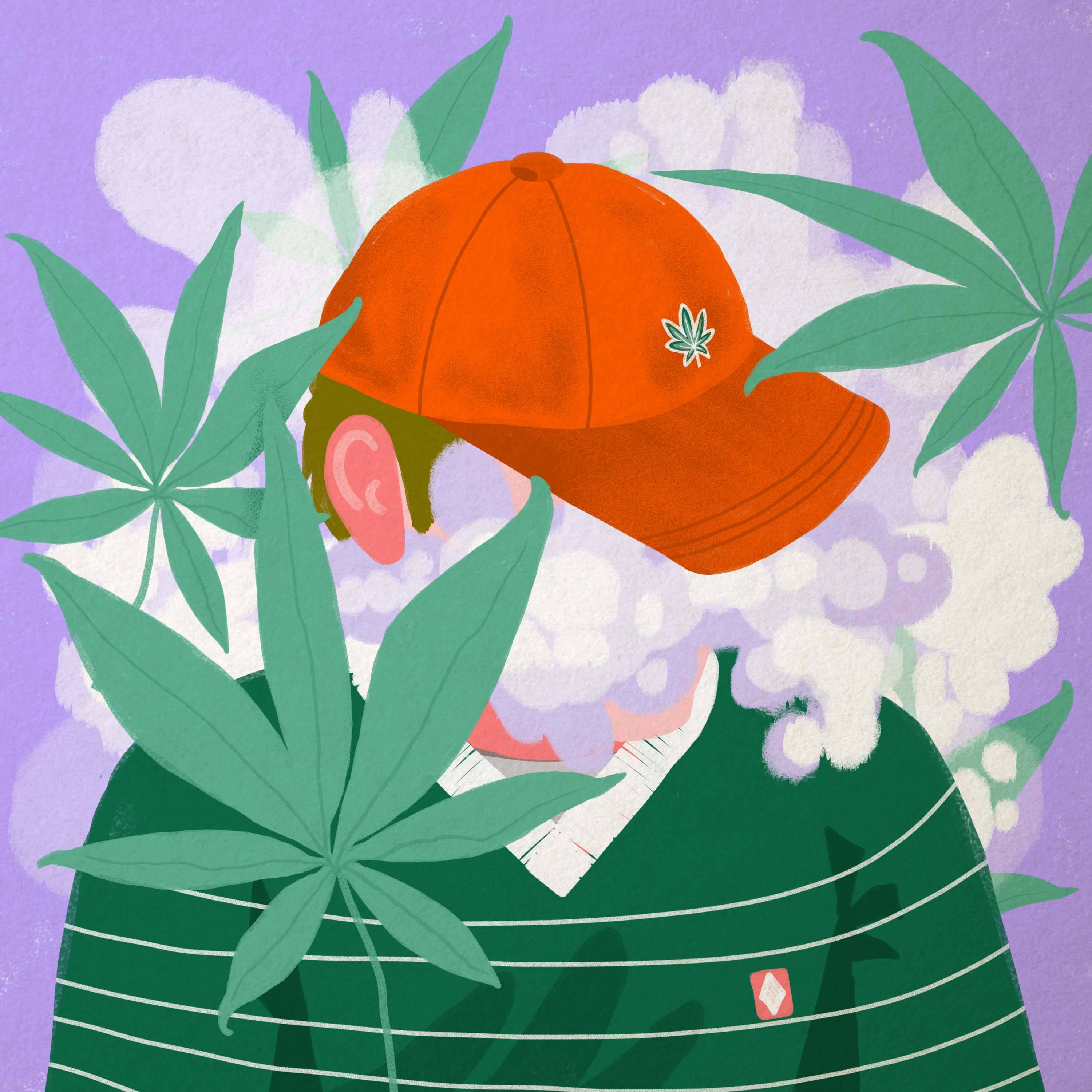 Rysnek, kolorowy, chłopak w czerwonej czapce, wokół zielone liście marihuany