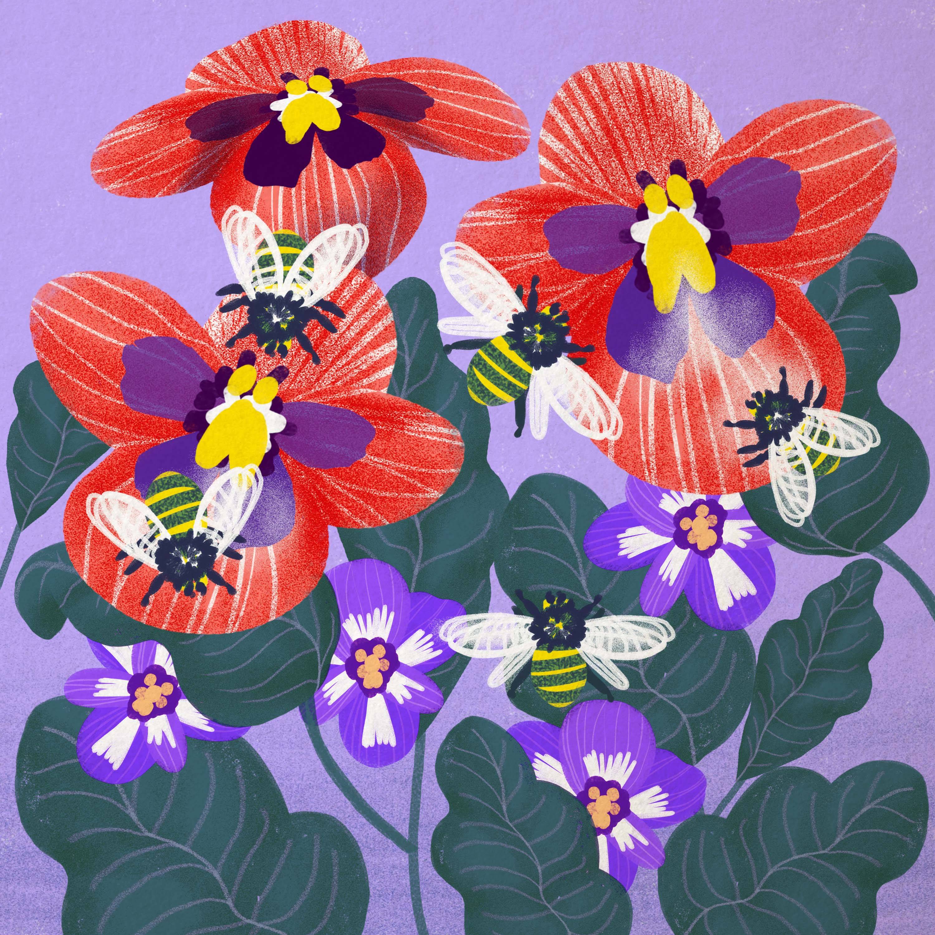 Rysunek przedstawia kolorowe kwiaty