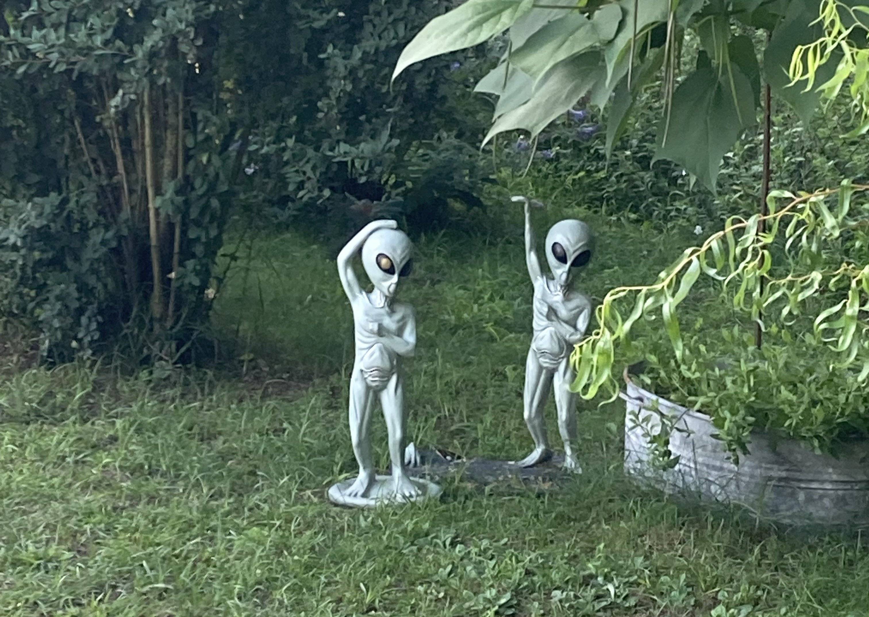figurki ufoludków stojące w ogrodzie
