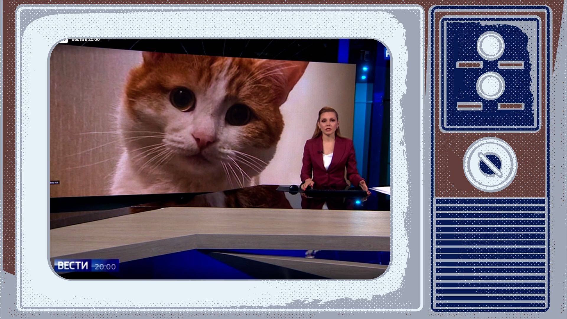 Grafika. W tamce starego telewizora screen z telewizyjnego stuia: prowadząca pokazuje wielkie zdjęcie rudego kota o wielkich oczach