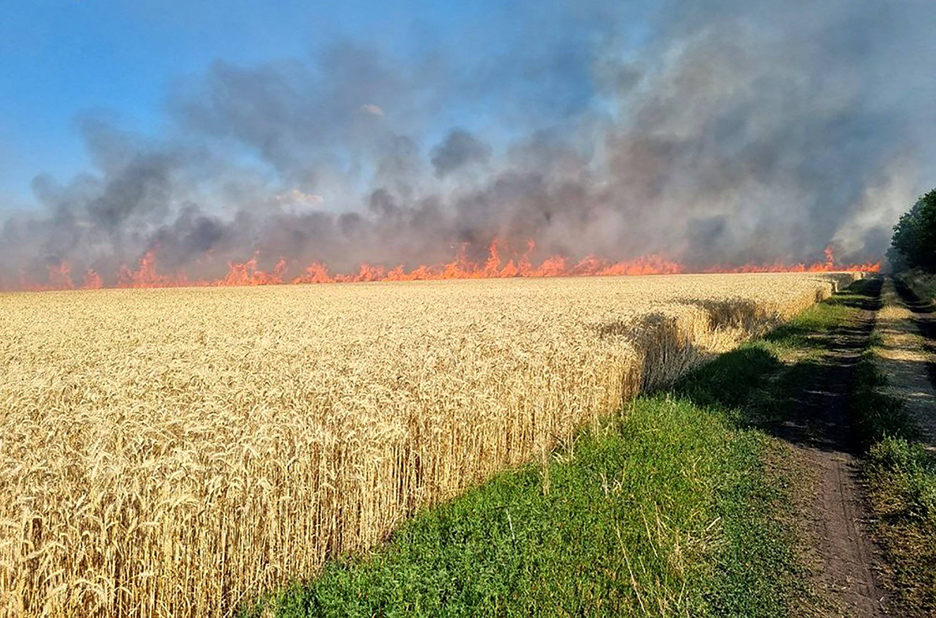 Pożar na polu pszenicy. Ukraińskie zboże
