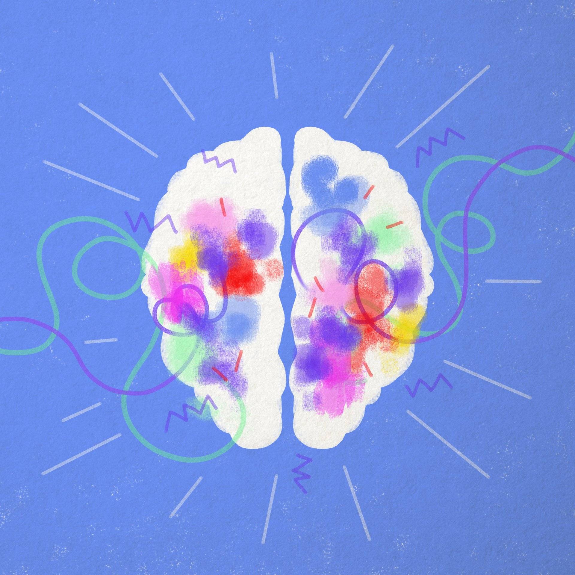 rysunek przedstawia dwie półkule mózgowe z kolorowymi punktami na ich powierzchni