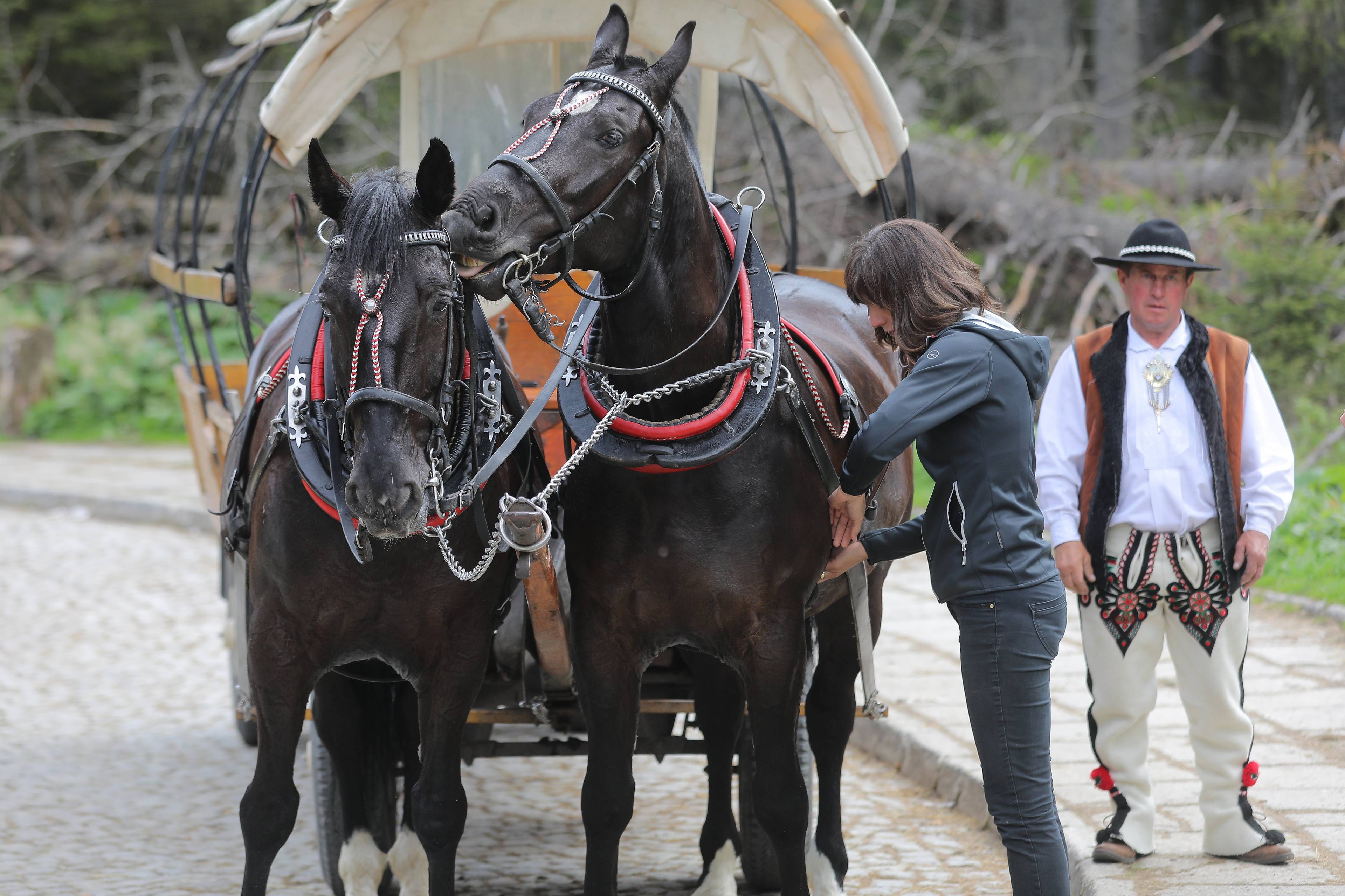 dwa czarne konie ciągną fasiąg, obok stoi mężczyzna w góralskim stroju