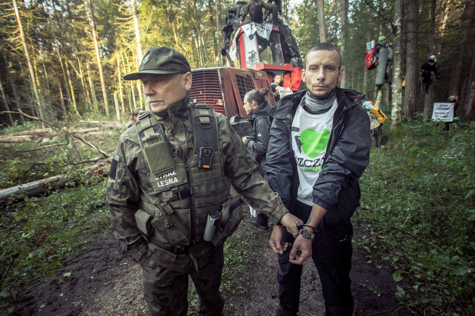 Fot. Rafał Wojczal / Greenpeace Polska