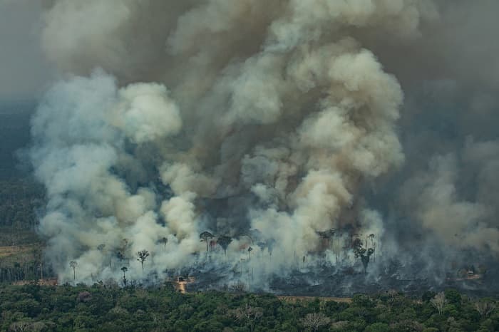 CANDEIRAS DO JAMARI, RONDÔNIA, BRAZIL: Aerial view of a large burned area in the city of Candeiras do Jamari in the state of Rondônia. (Photo: Victor Moriyama / Greenpeace), Amazon Burning Overflight
CANDEIRAS DO JAMARI, RONDÔNIA, BRASIL: Imagem aérea de uma grande área queimada na cidade de Candeiras do Jamari no Estado de Rondônia. (Foto: Victor Moriyama / Greenpeace)