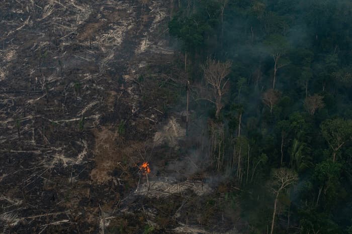 PORTO VELHO, RONDÔNIA, BRAZIL. Aerial view of burned areas in the Amazon rainforest, in the city of Porto Velho, Rondônia state. (Photo: Victor Moriyama / Greenpeace)
PORTO VELHO, RONDÔNIA, BRASIL. Vista aérea de áreas queimadas e focos de incêndio na Amazônia, na cidade de Porto Velho, Rondônia. (Photo: Victor Moriyama / Greenpeace)