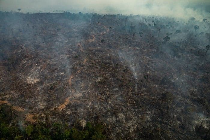 PORTO VELHO, RONDÔNIA, BRAZIL. Aerial view of burned areas in the Amazon rainforest, in the city of Porto Velho, Rondônia state. (Photo: Victor Moriyama / Greenpeace)
PORTO VELHO, RONDÔNIA, BRASIL. Vista aérea de áreas queimadas e focos de incêndio na Amazônia, na cidade de Porto Velho, Rondônia. (Photo: Victor Moriyama / Greenpeace)