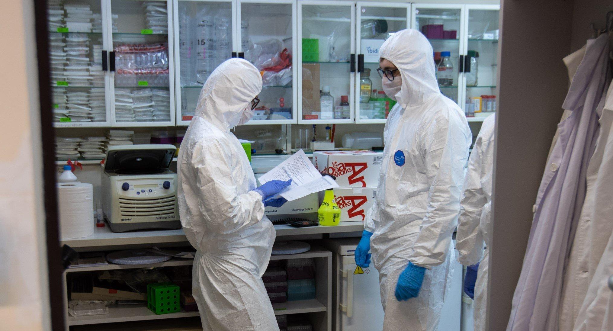 Test na koronawirusa przeprowadzany w laboratorium