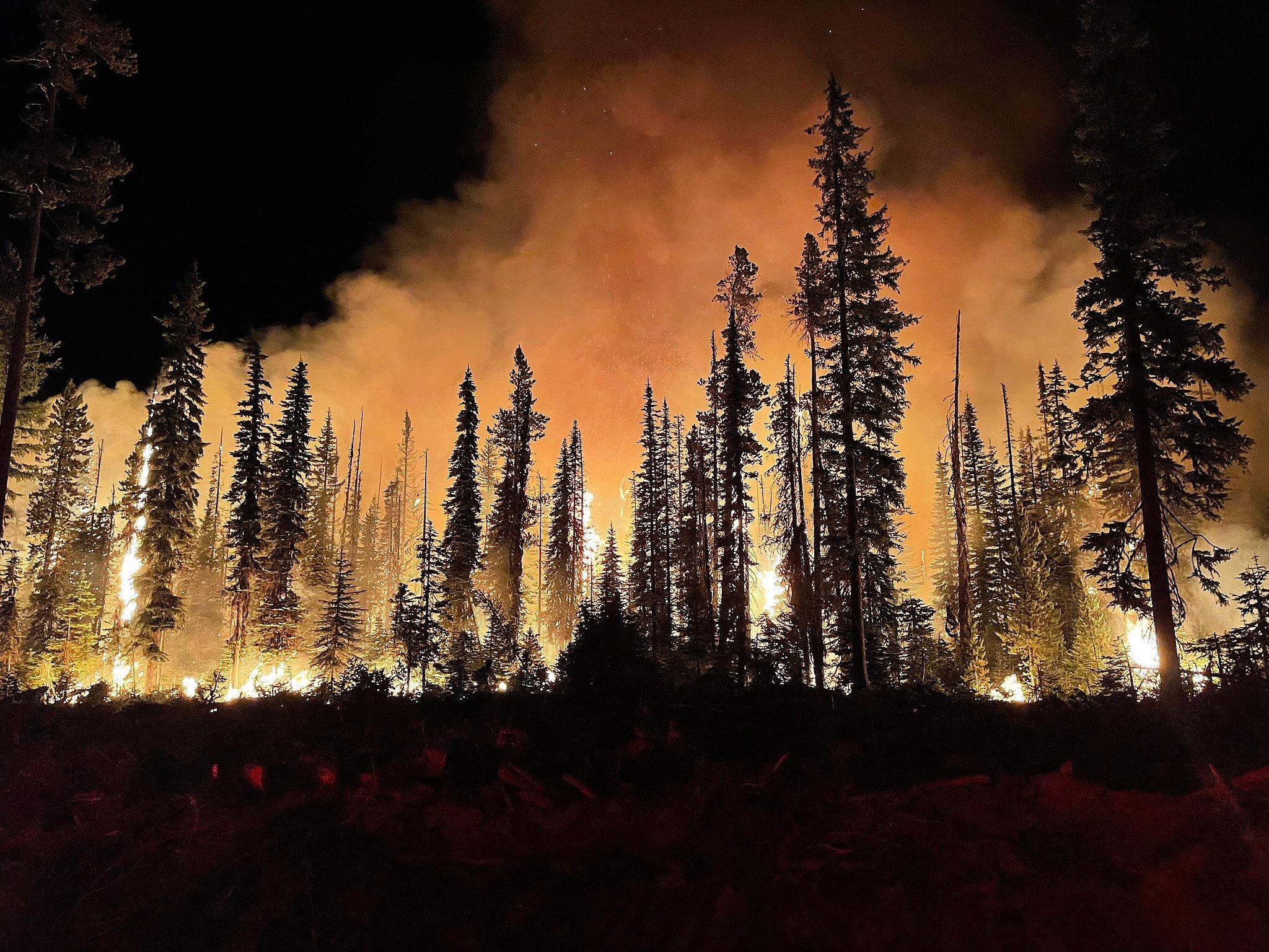 pożar lasu Umatilla w Oregonie