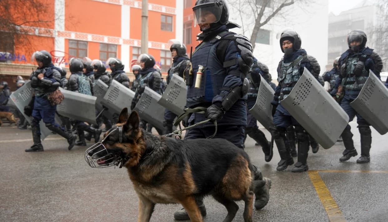 Policjanci w rynsztunku bojowym z psami idą środkiem ulicy