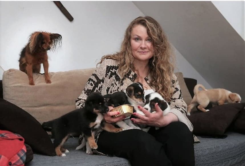 Katarzyna Piekarska i jej psy