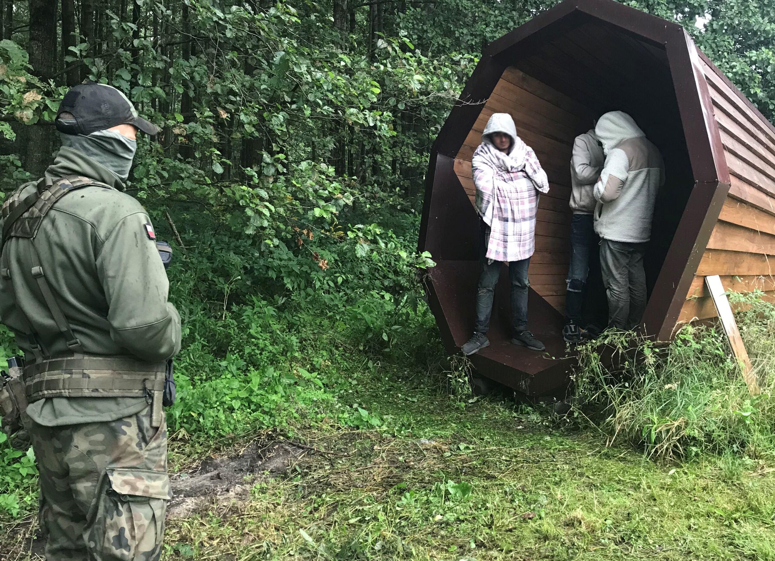 Uchodźcy ukryli się w drewnianej tubie do słuchania lasu