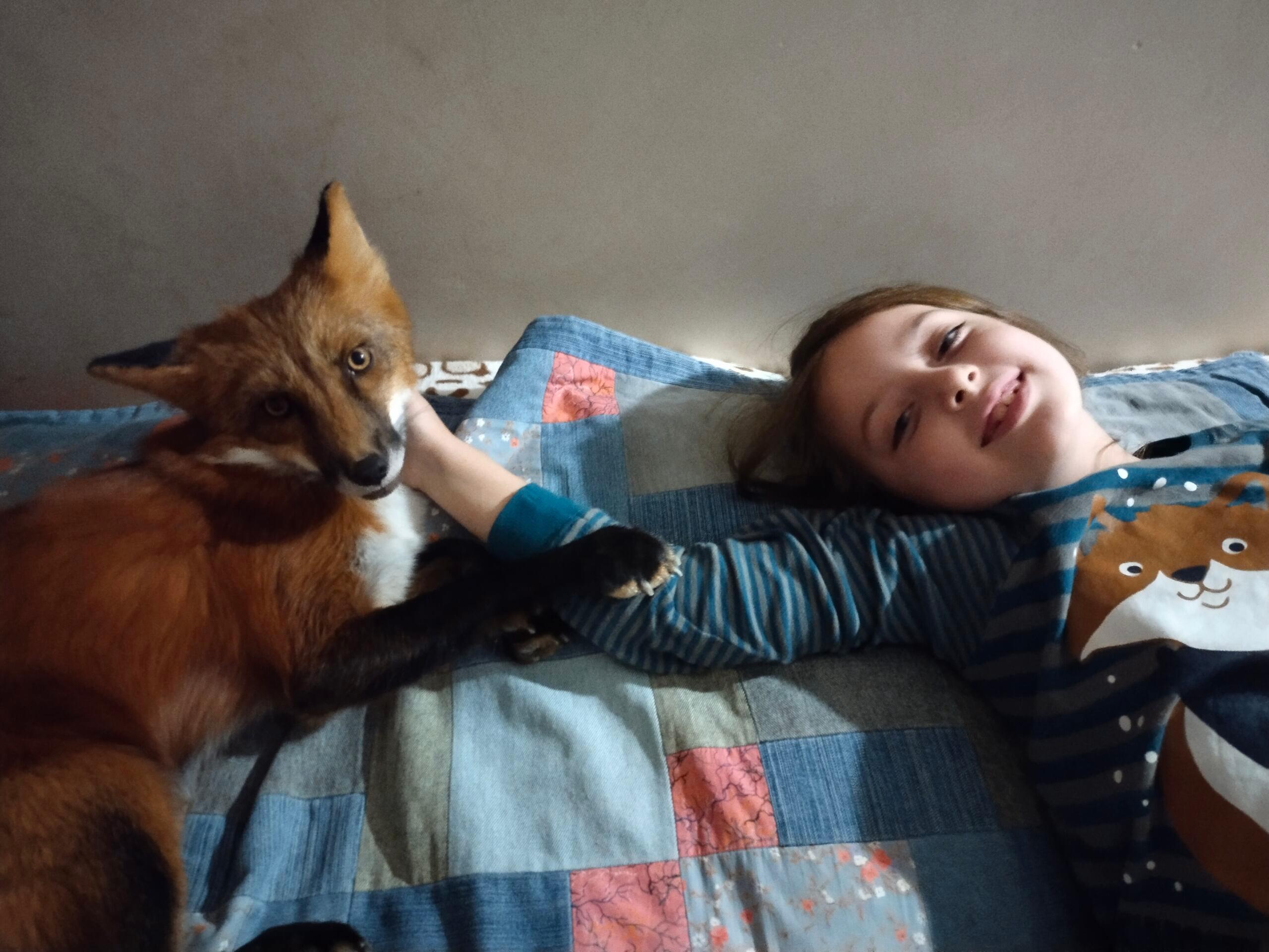 Leżąca dziewczynka, obok niej lis