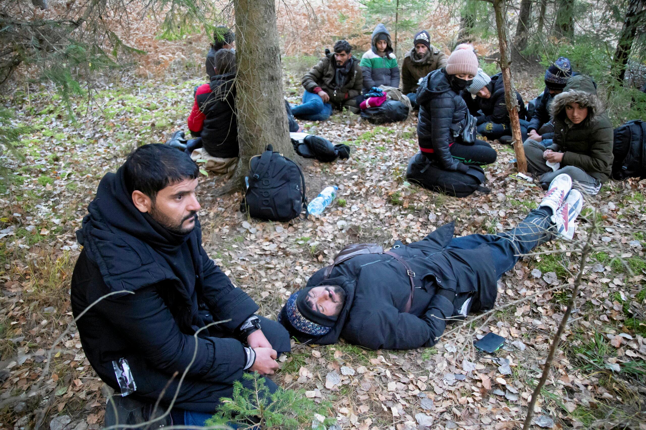 Grupa ludzi o bliskowschodnich rysach siedząca lub leżąca w lesie