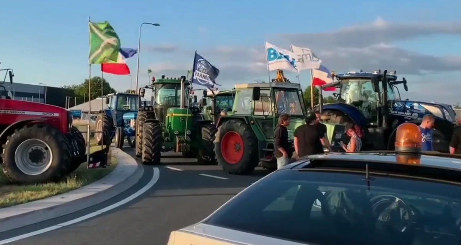protest rolników holandia