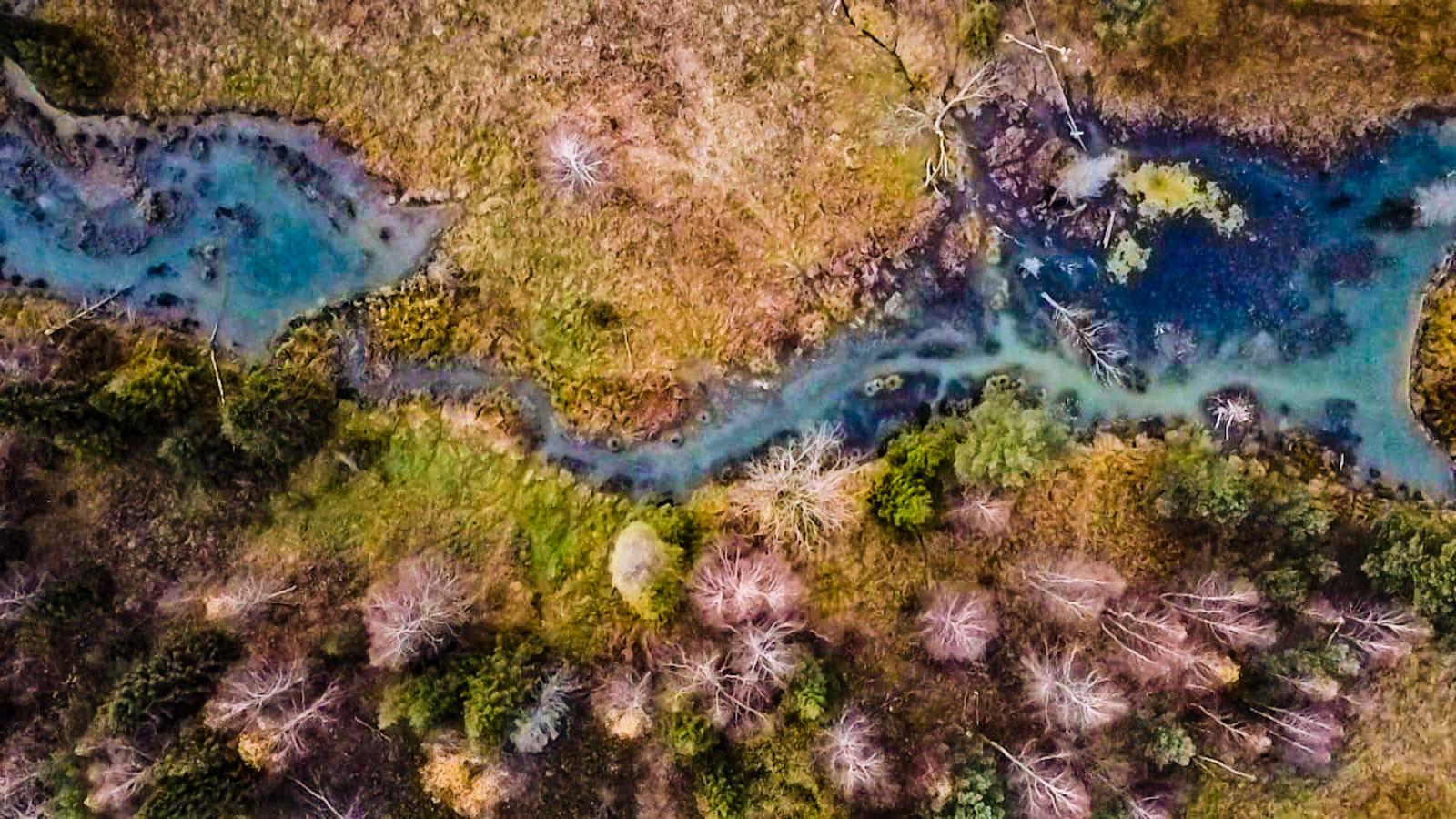 sfotografowany z góry staw stworzony przez bobry