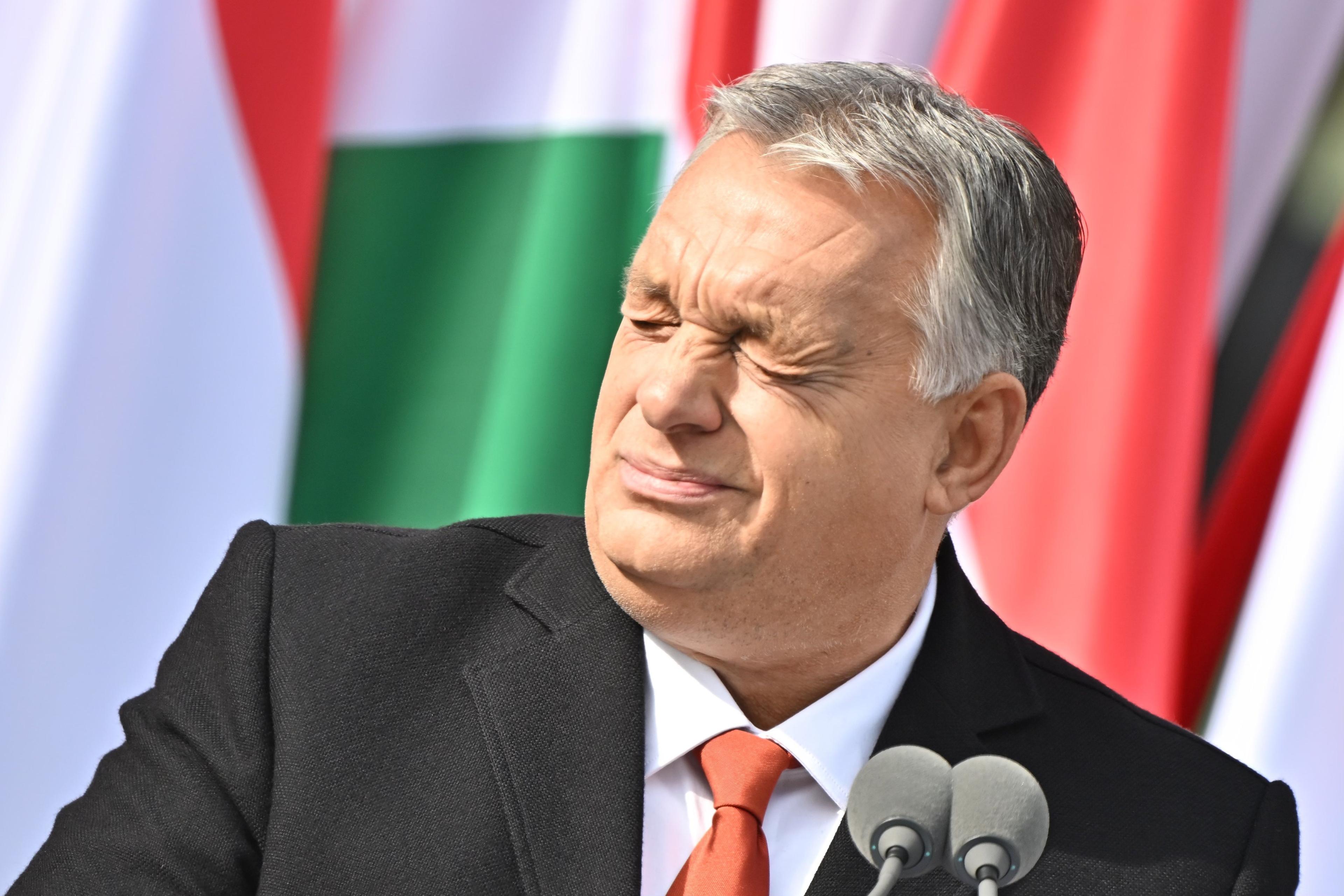 Viktor Orban krzywi się patrząc pod światło. W tle - węgierskie flagi