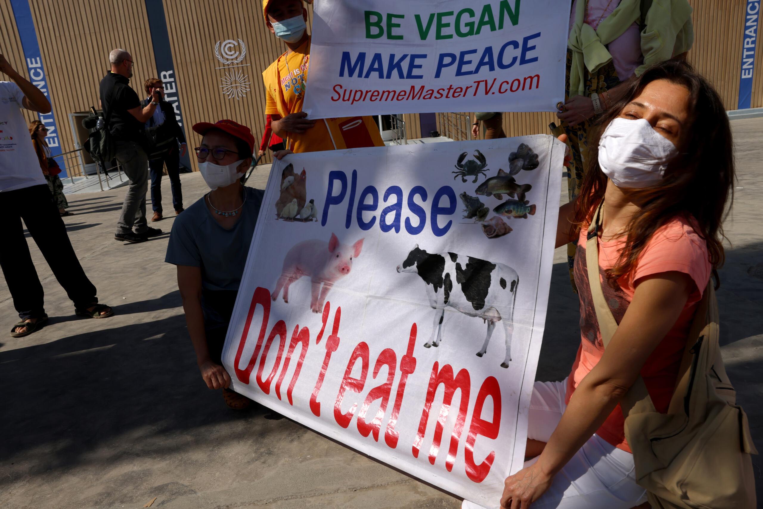 aktywistka trzyma transparent z rysunkiem krowy i hasłem Nie zabija mnie