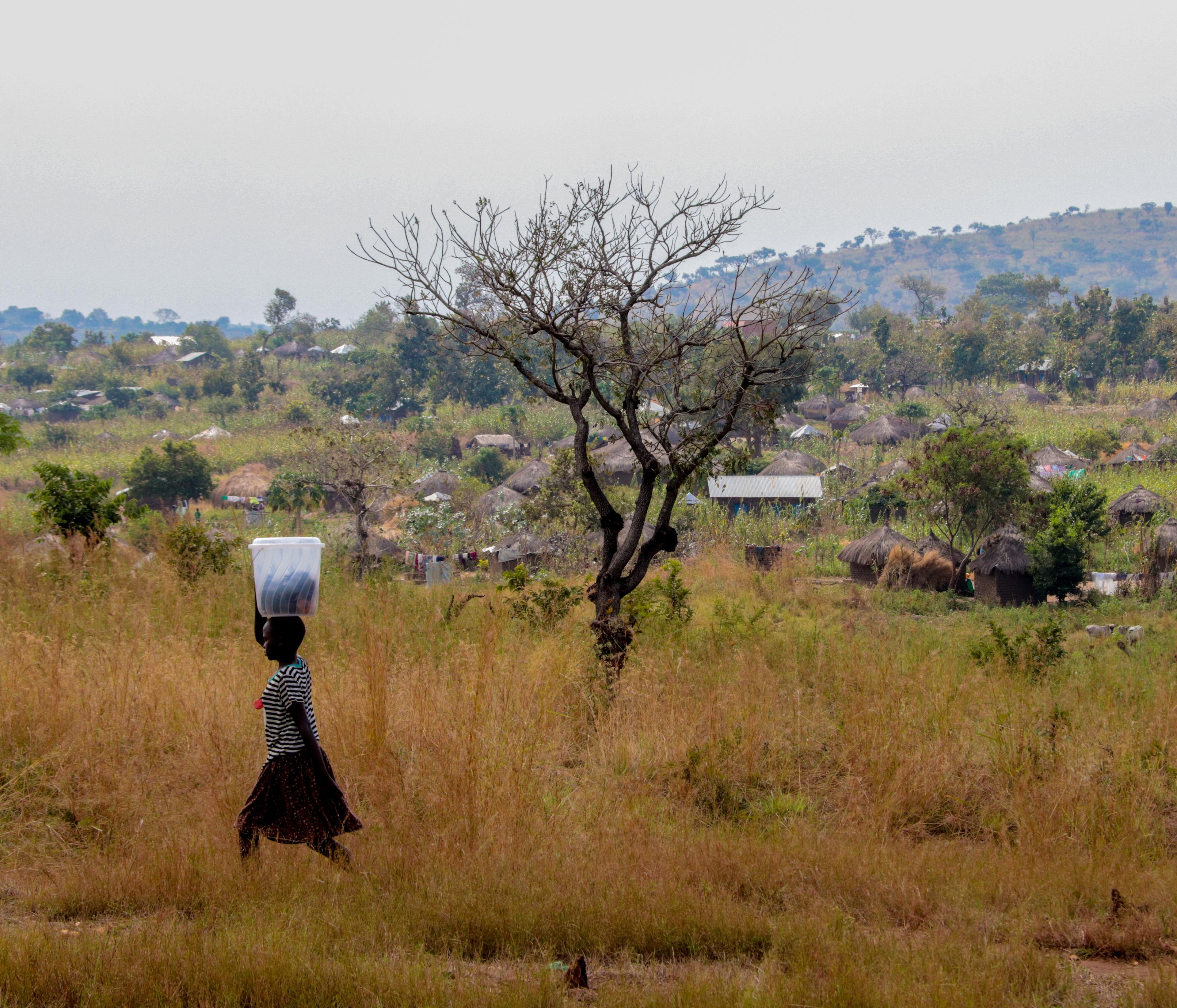 krajobraz Ugandy, trawy i pojedyncze drzewa, ścieżką idzie kobieta i niesie na głowie bagaż
