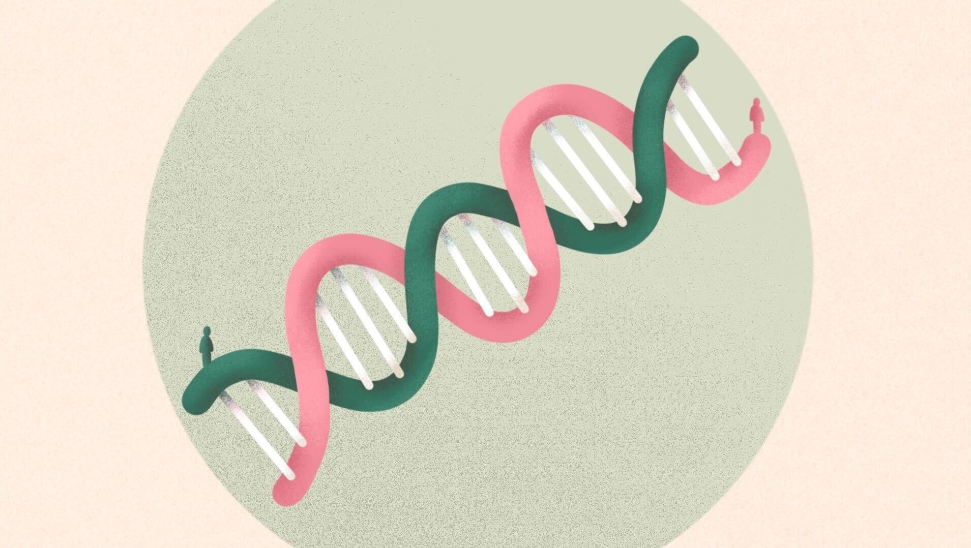 artystycznie przedstawiona helisa DNA, na której krańcach stoją ludzie