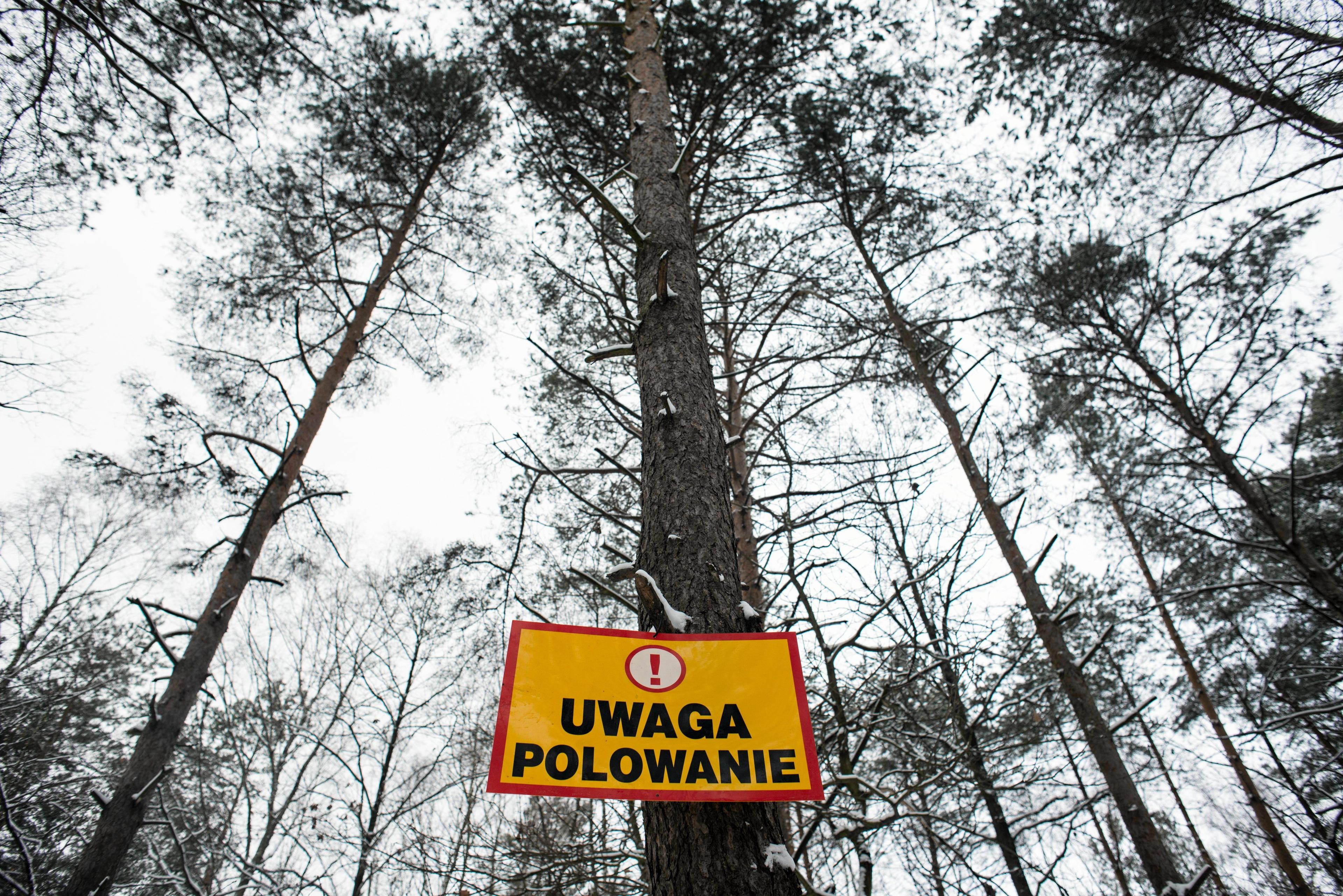 12.01.2019 okolice Mszczonowa ( wojewodztwo mazowieckie ) . Polowanie na dziki . Tabliczka " Uwaga Polowanie " .
Fot. Maciek Jazwiecki / Agencja Wyborcza.pl