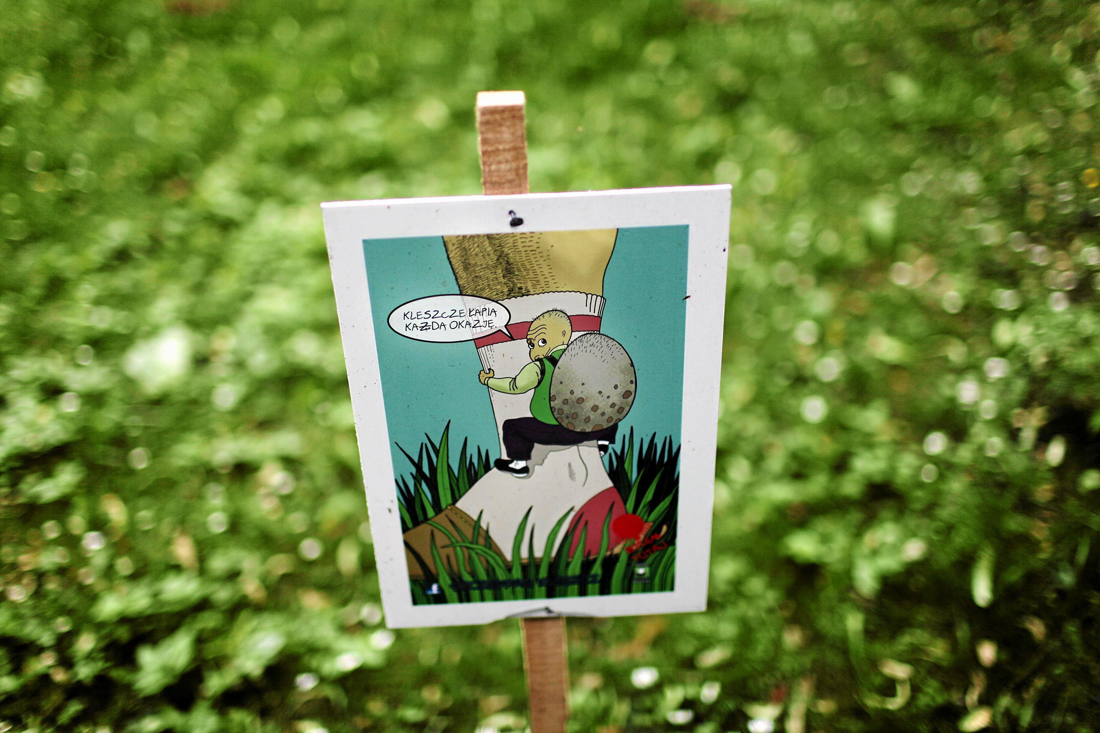 rysunek na tabliczce wbitej w trawnik przedstawiający zantropomorfizowanego kleszcza wspinającego się po ludzkiej nodze
