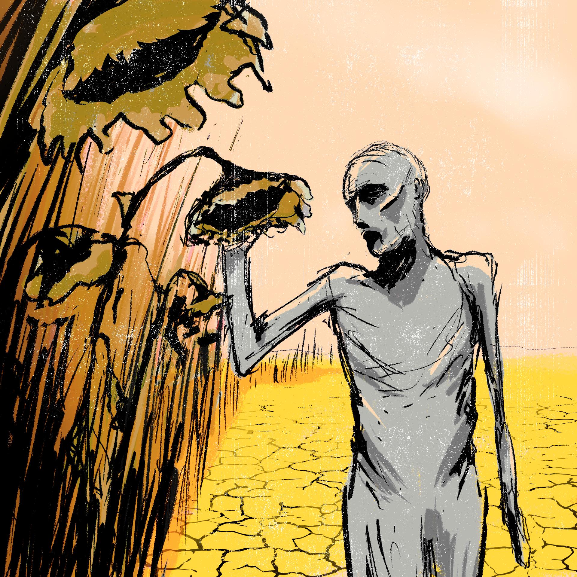 Rysunek, postać ludzka, wqychudzona na tle wyschnętego pola i uschniętego słonecznika