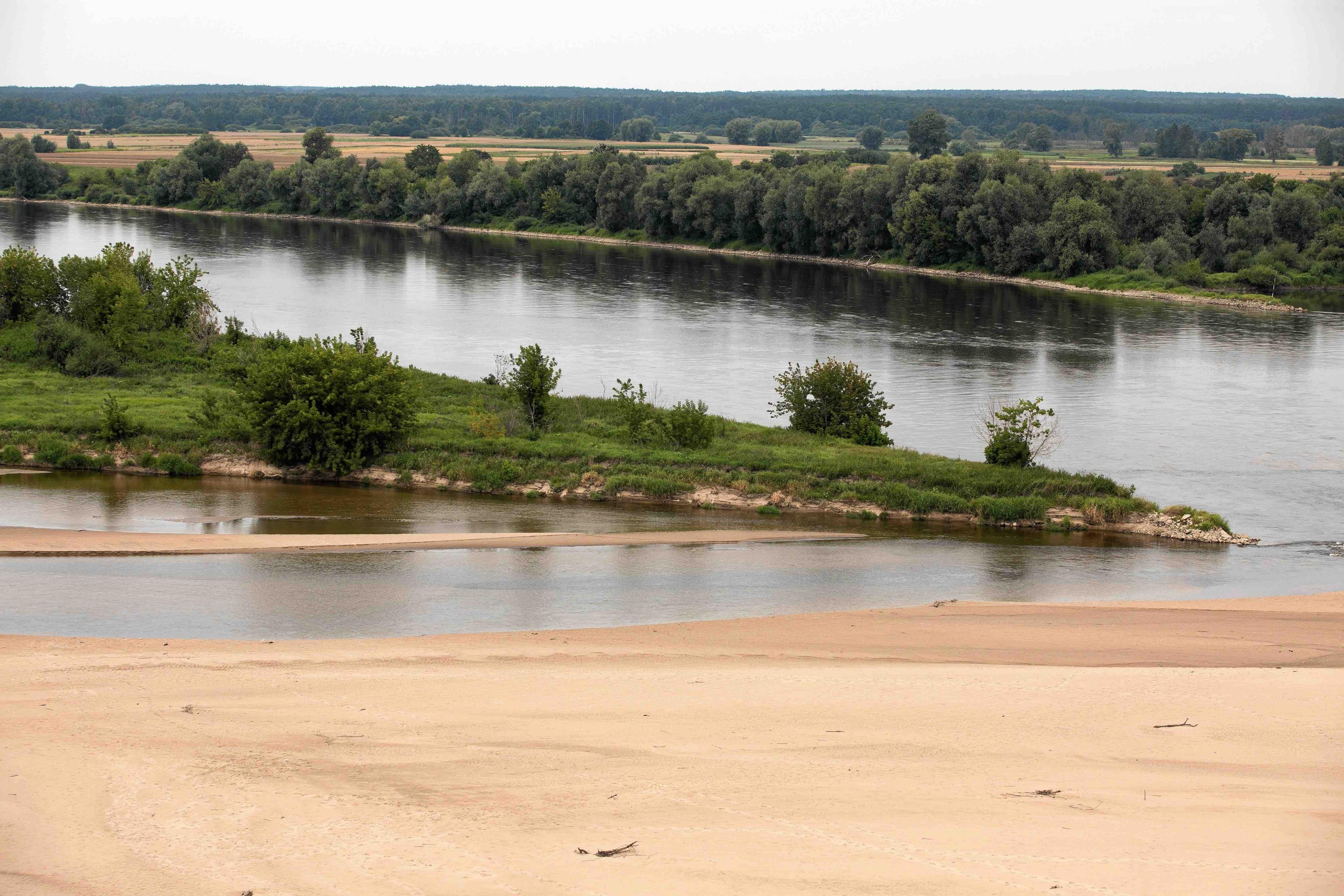 pejzaż z rzeką, lasem i piaszczystymi wyspami