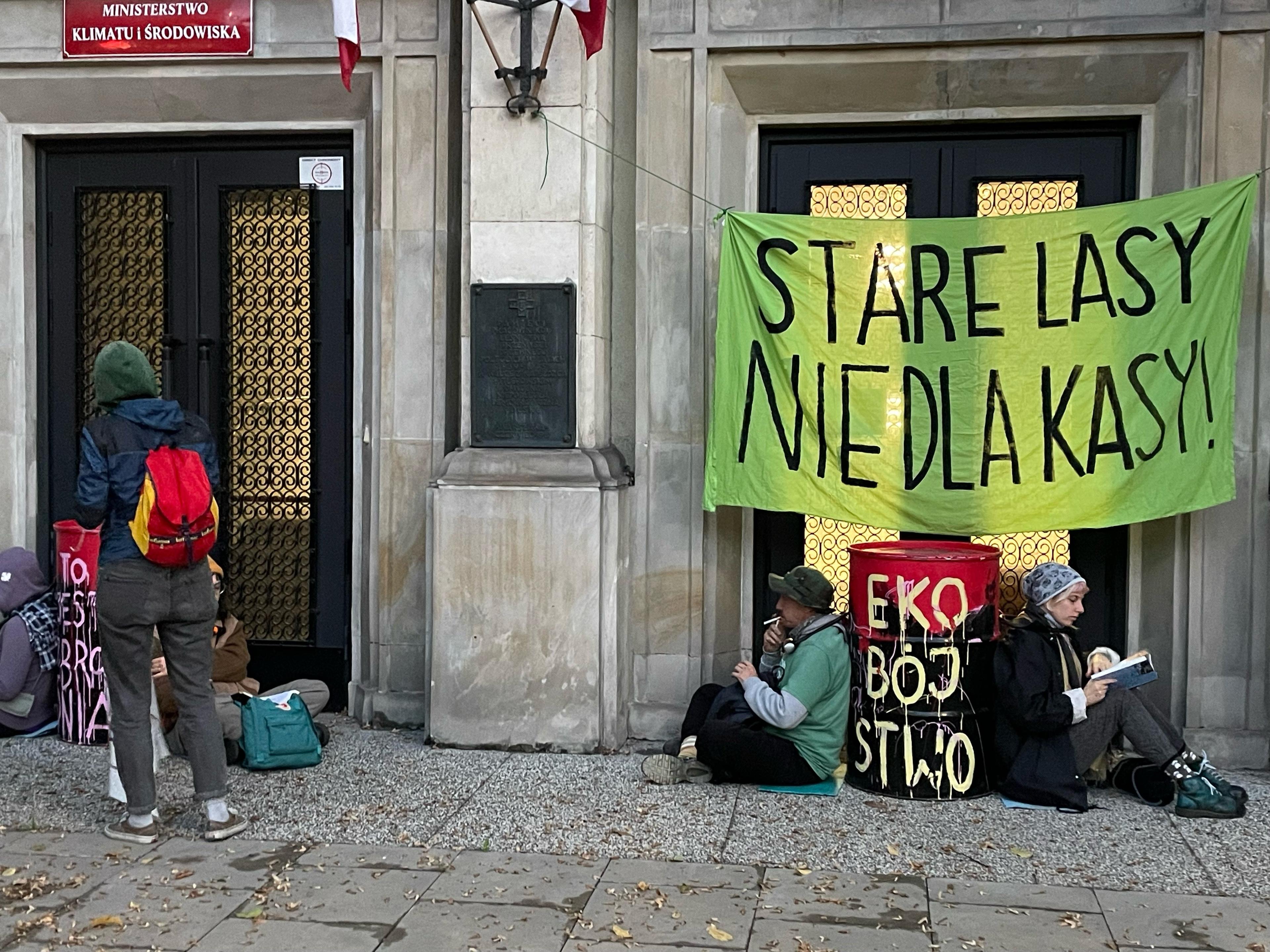 aktywiści siedzą pod budynkiem ministerstwa pod napisem "Stare lasy nie dla kasy"