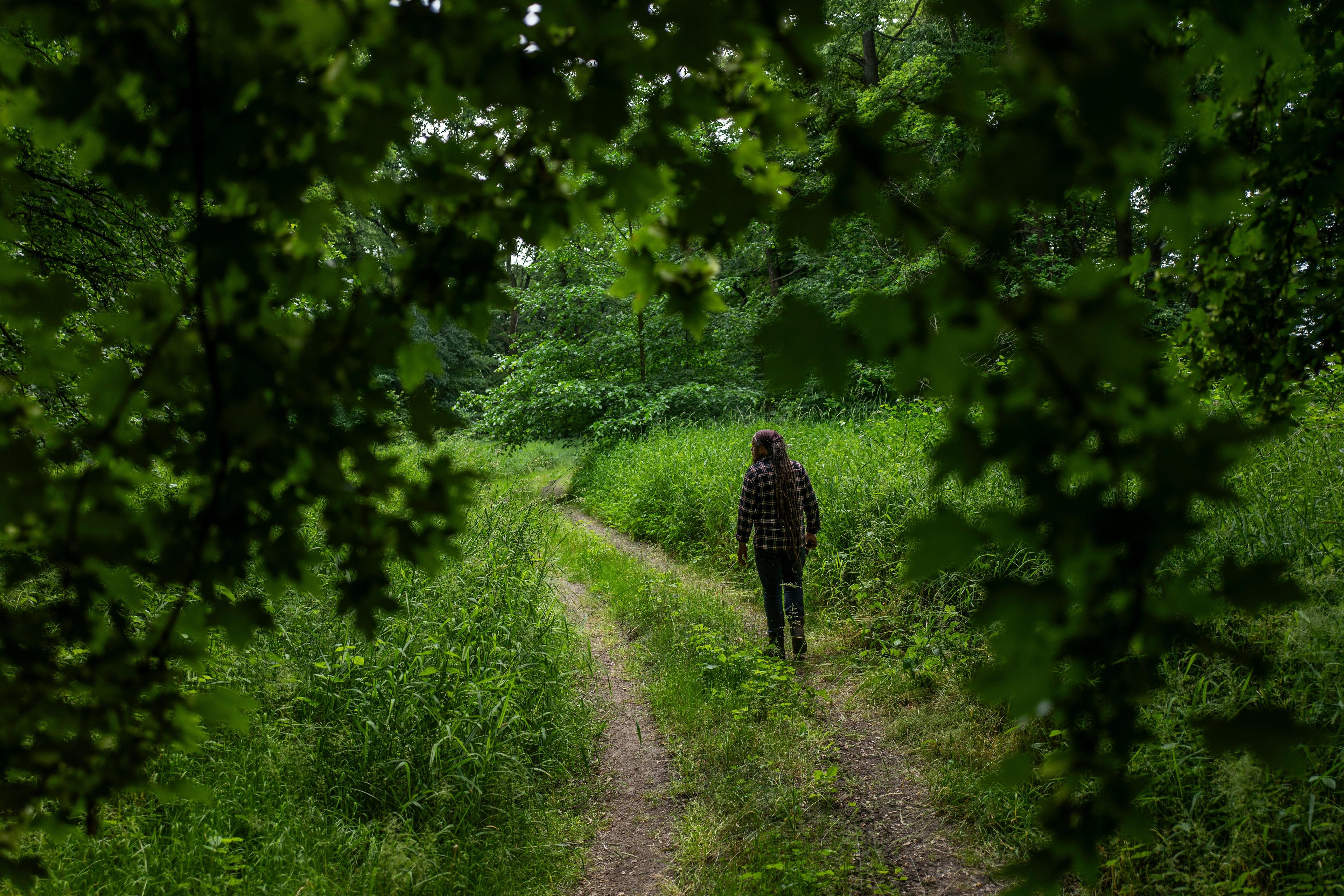 Człowiek z długimi dredami idzie leśną drogą