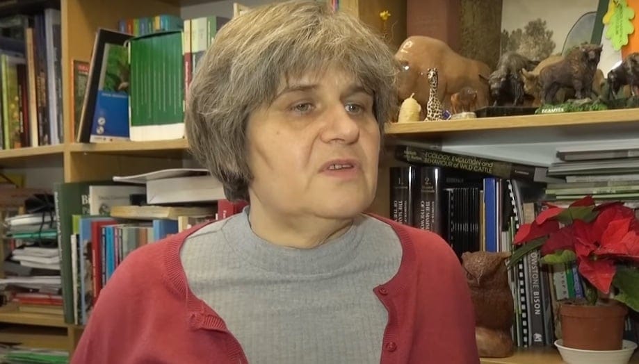 Fot. Lasy Państwowe