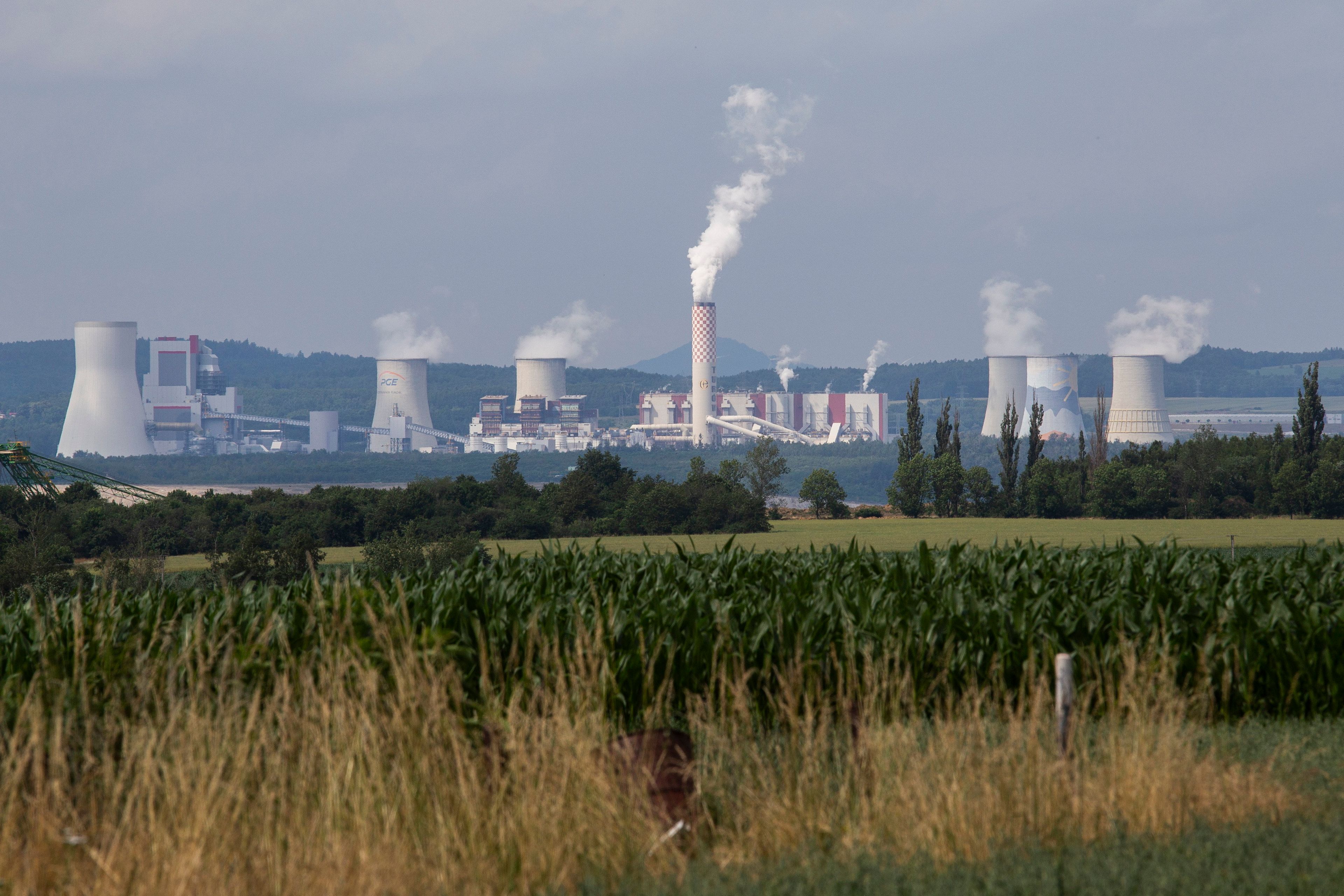 łąka, w tle kominy elektrowni