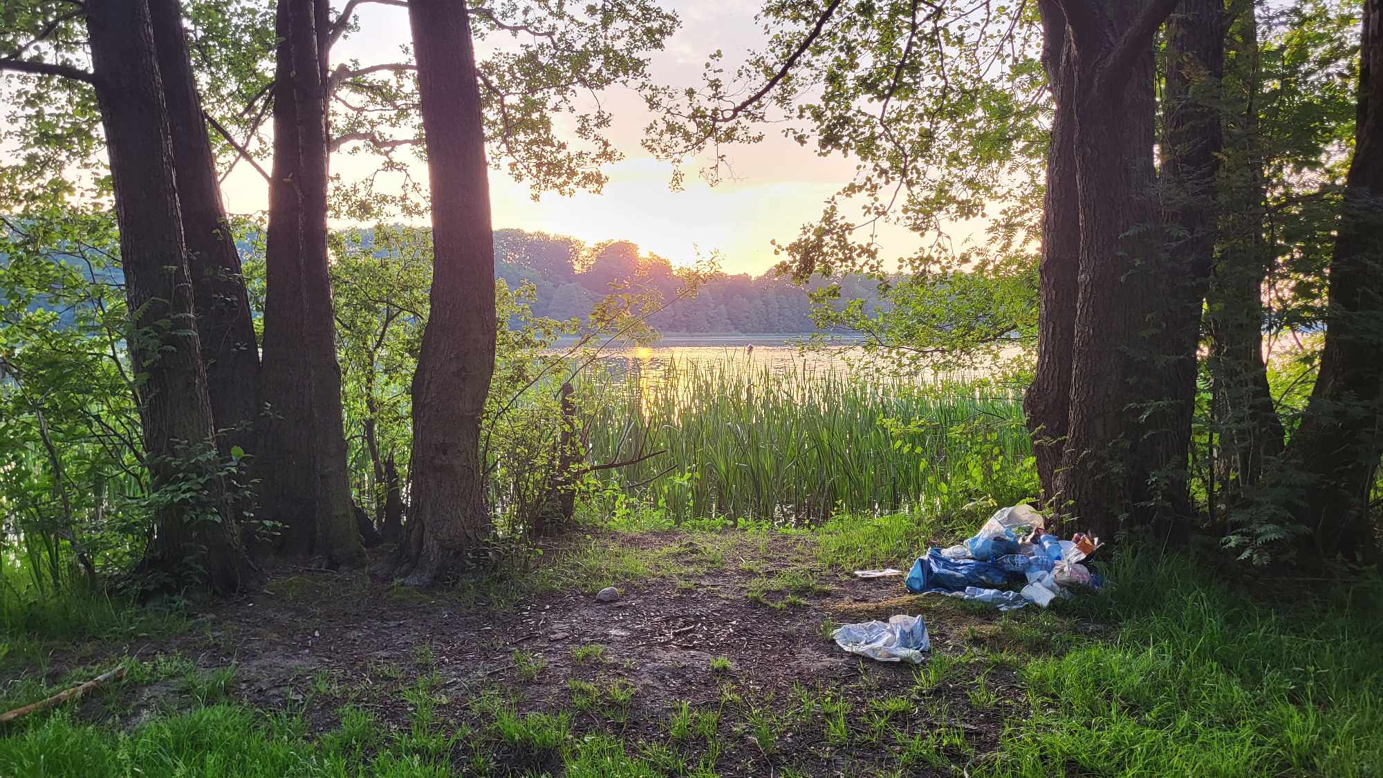 Śmieci nad jeziorem. Poza tym - sielski karjobraz