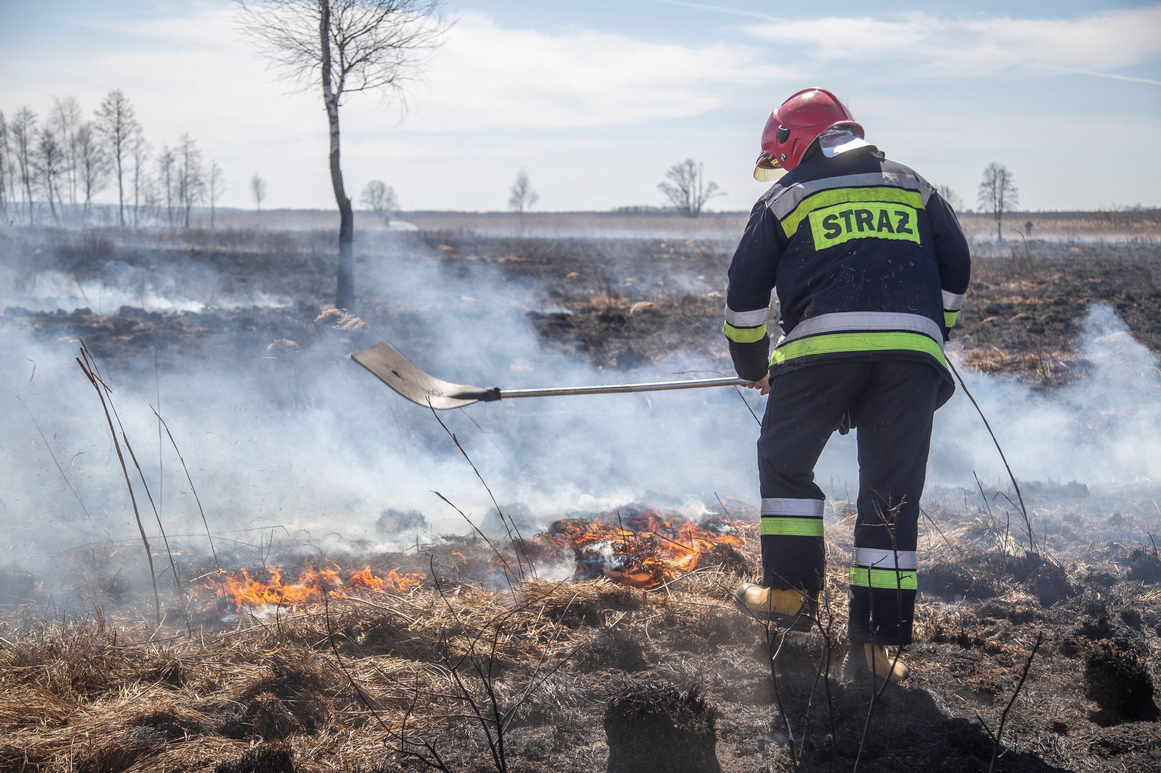 strażak gasi pożar na łące