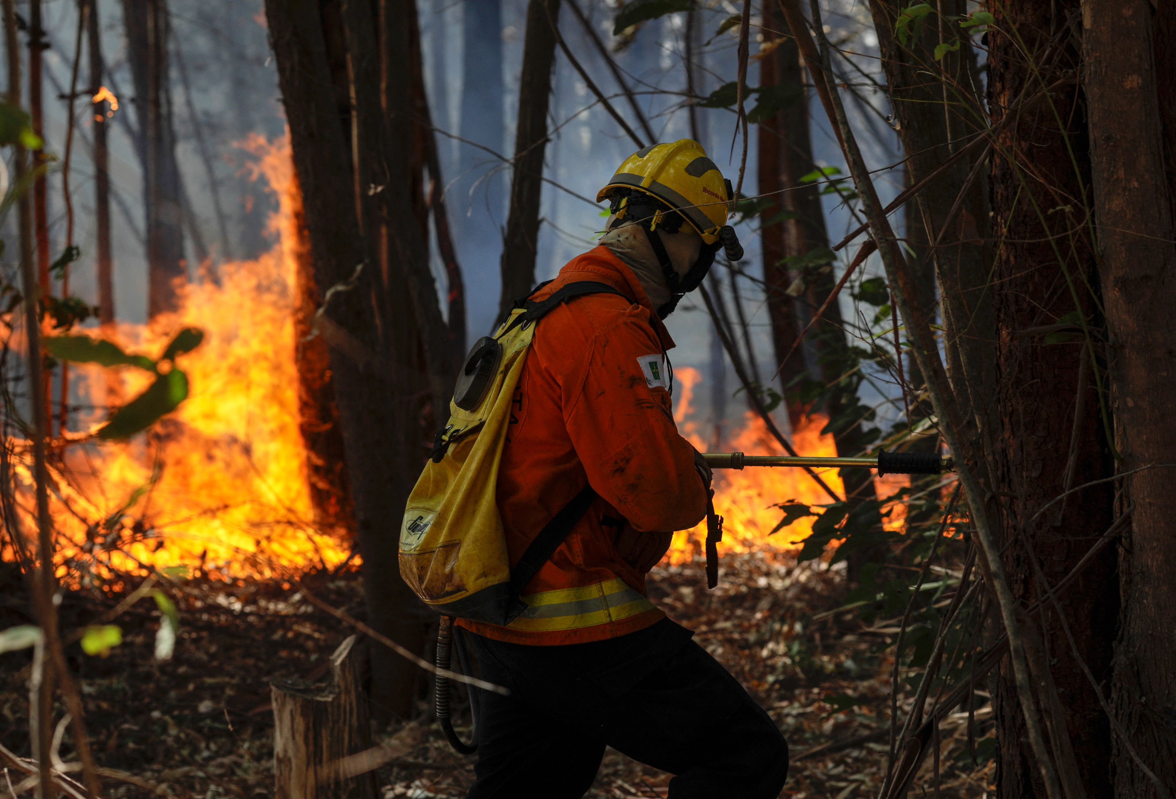 strażak w płonącym lesie