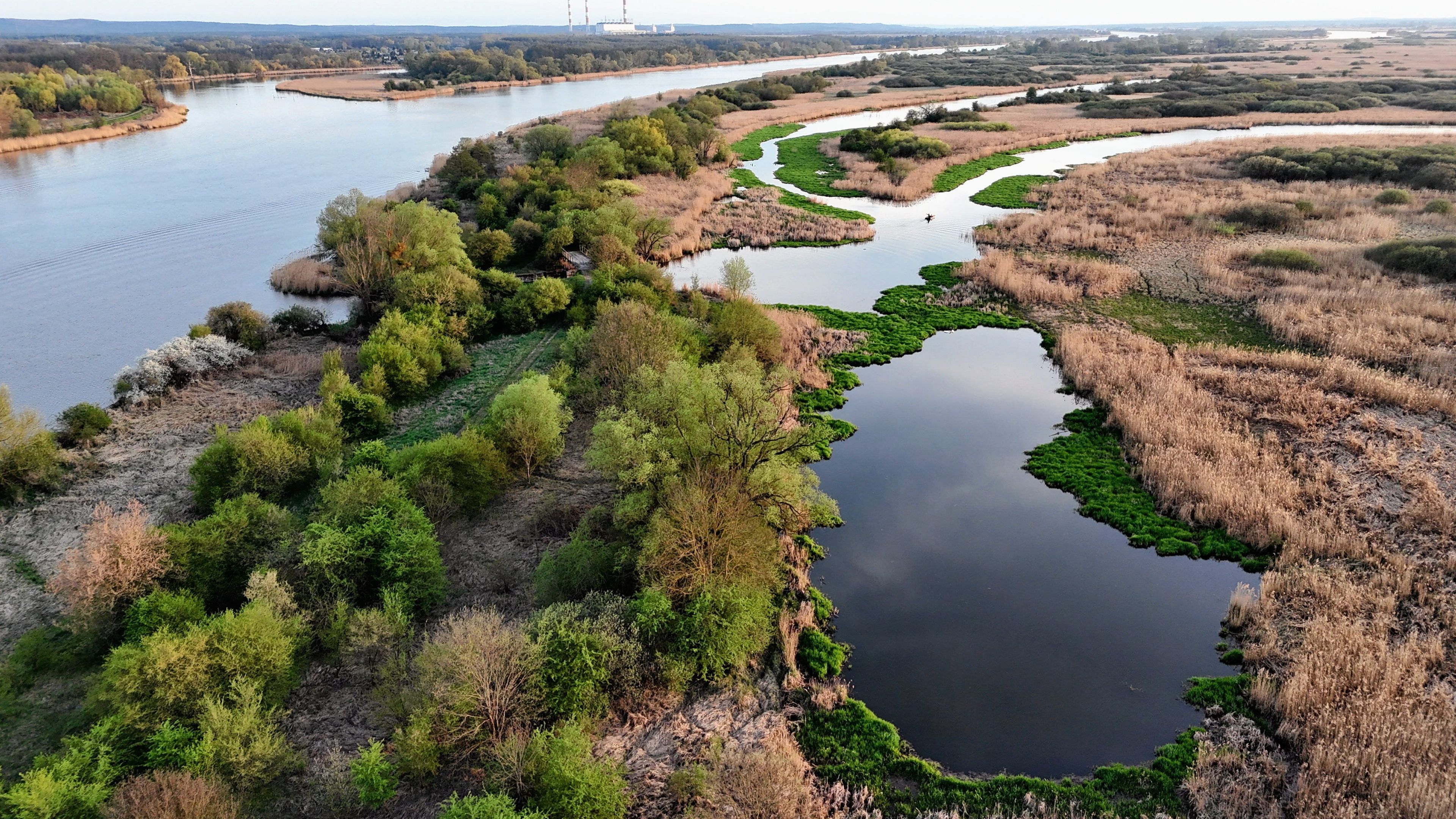 widok z lotu ptaka na planowany park