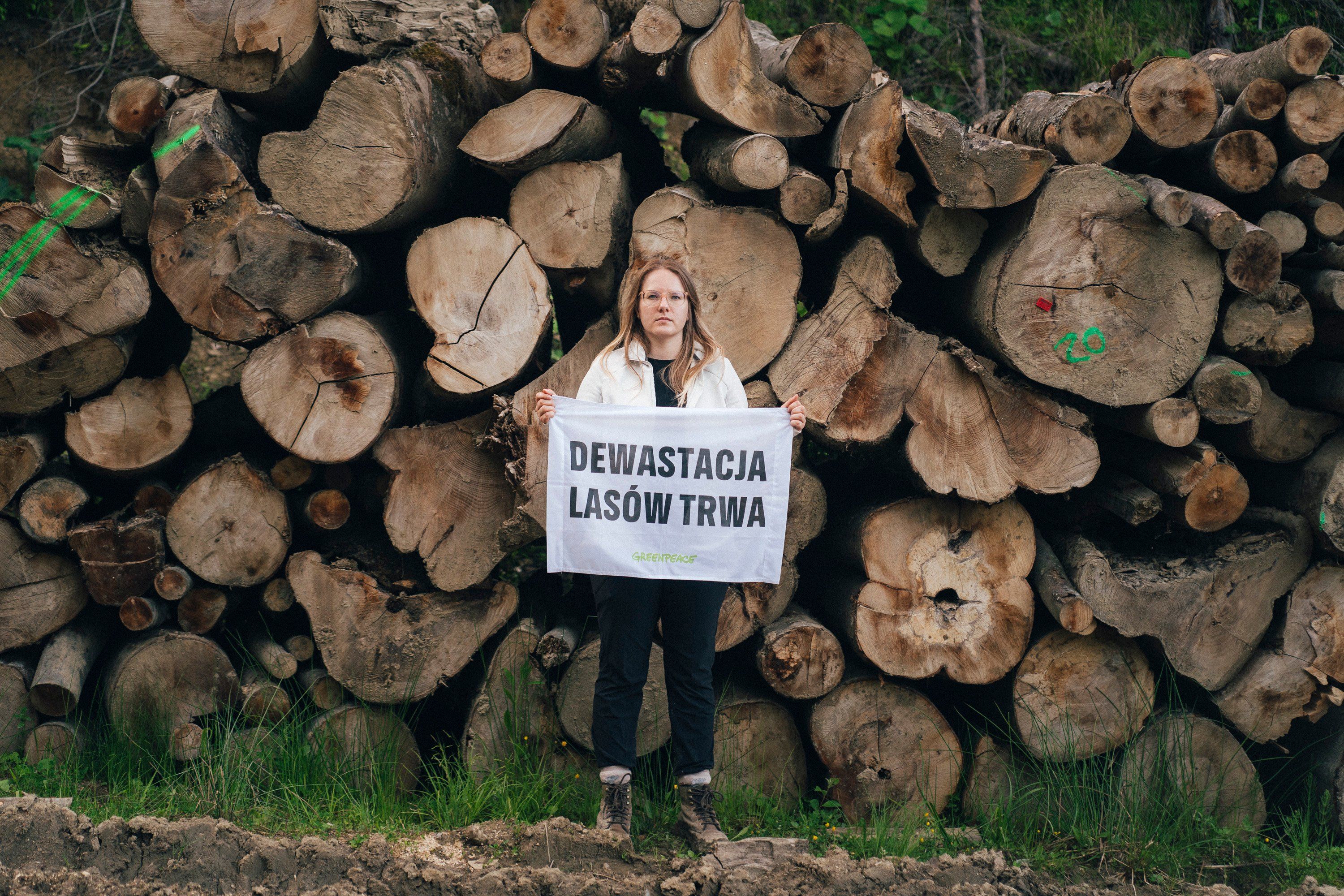 dewastacja lasów trwa