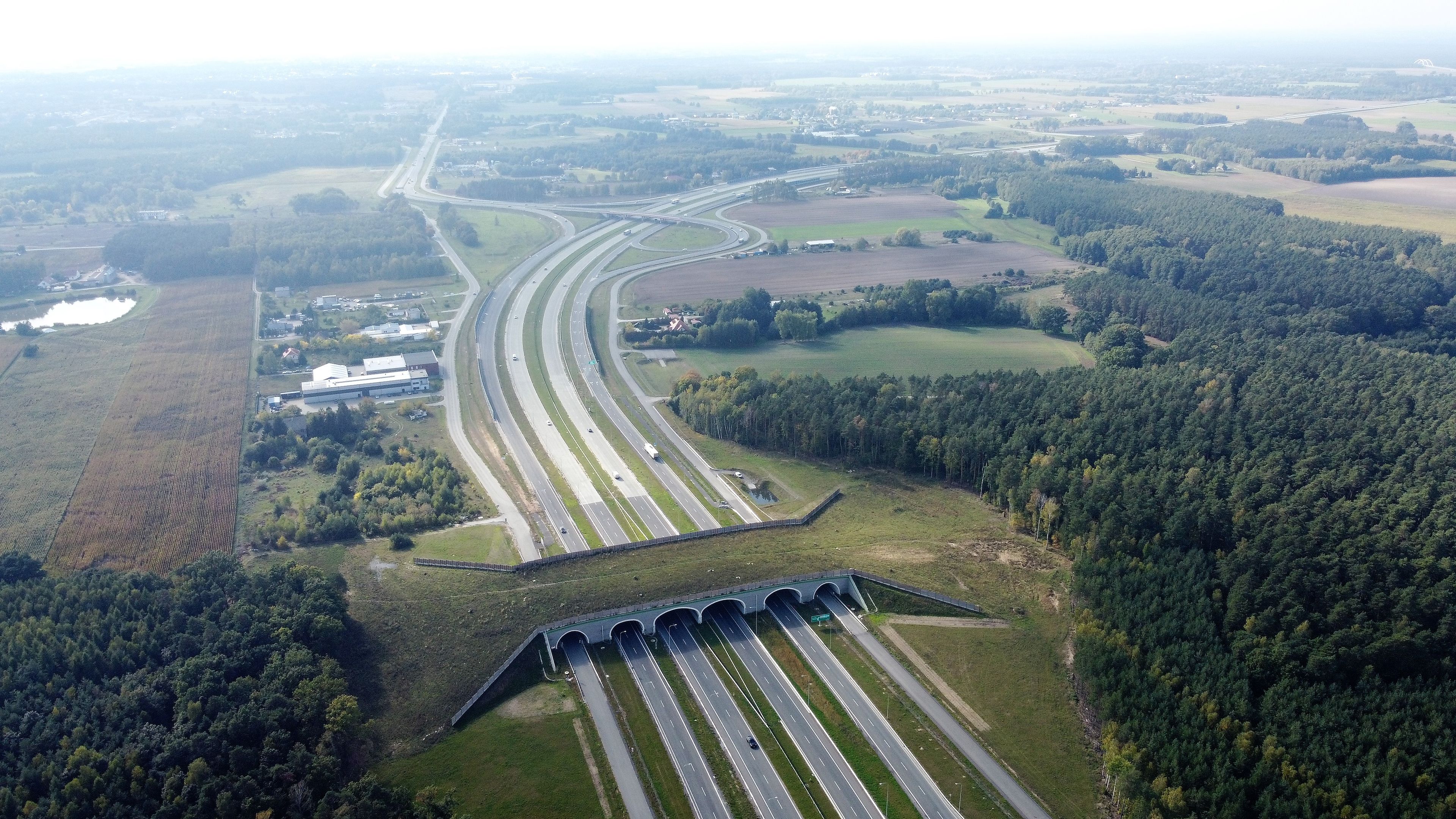 przejście dla zwierząt nad drogą