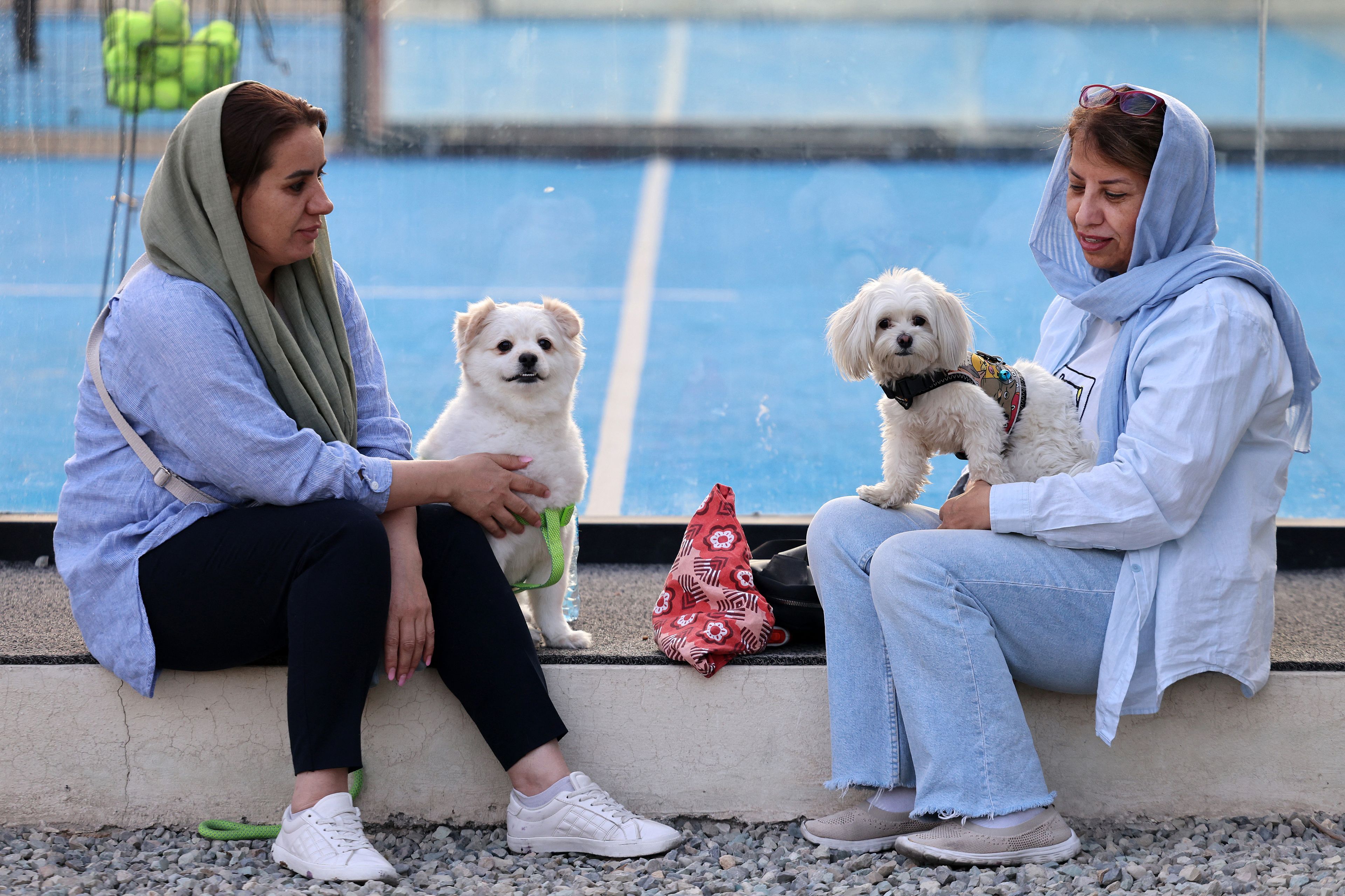 Dwie kobiety w chustach na głowie z małymi bualymi pieskami siedzą na murku i rozmawiają