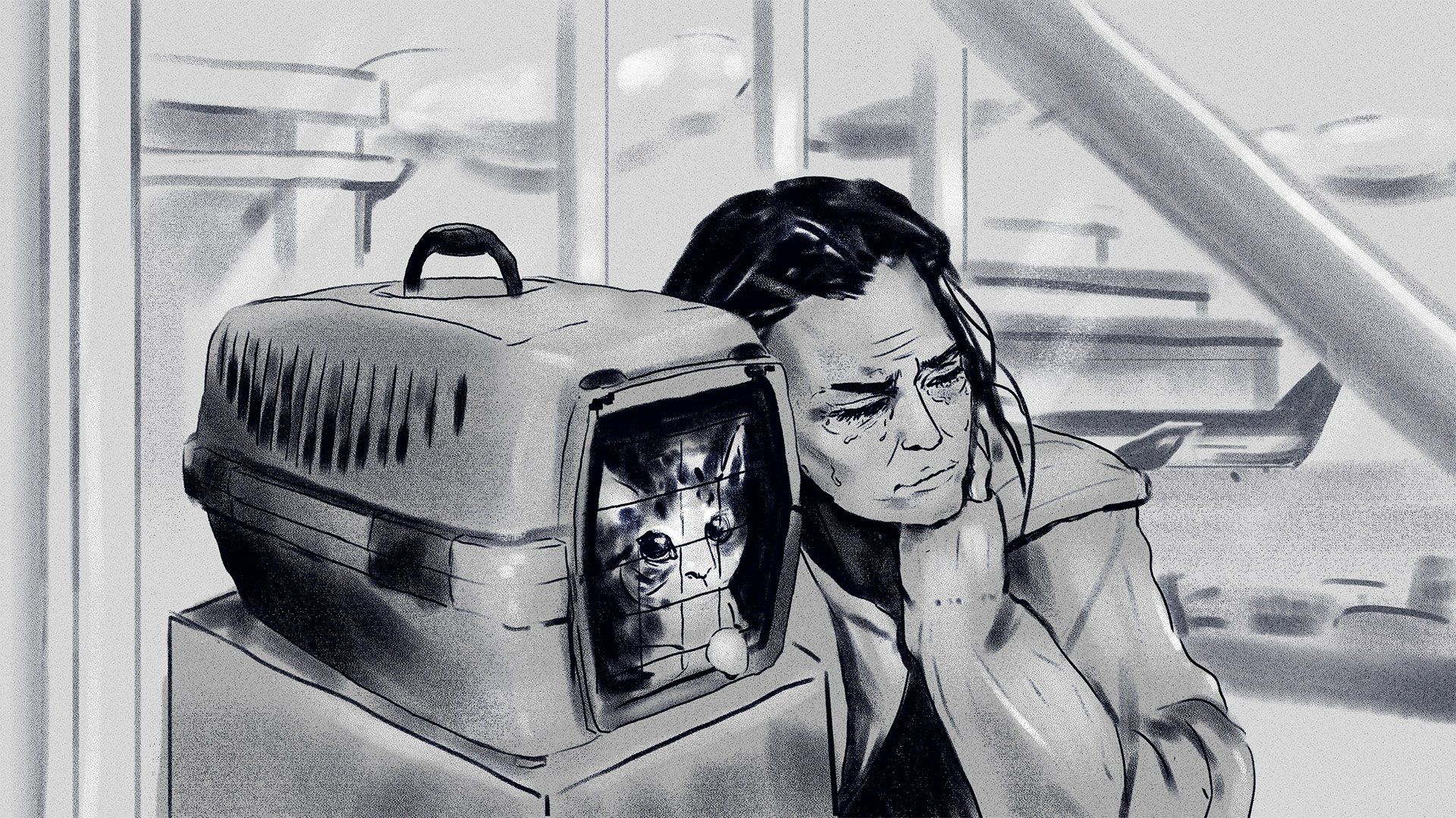 Ilustracja: smutna kobieta ze łzami na twarzy siedzi przytulona transportera, w którym siedzi kot. W tle zarysy lotniska.