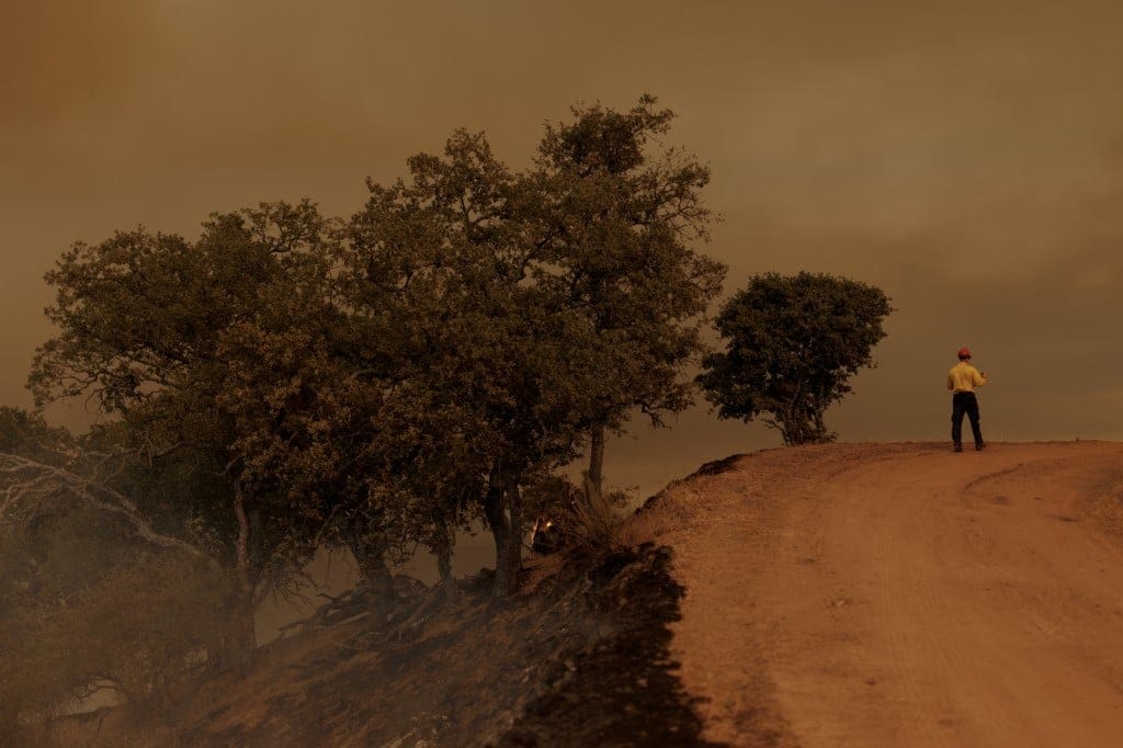 strażak patrzy na płonący las