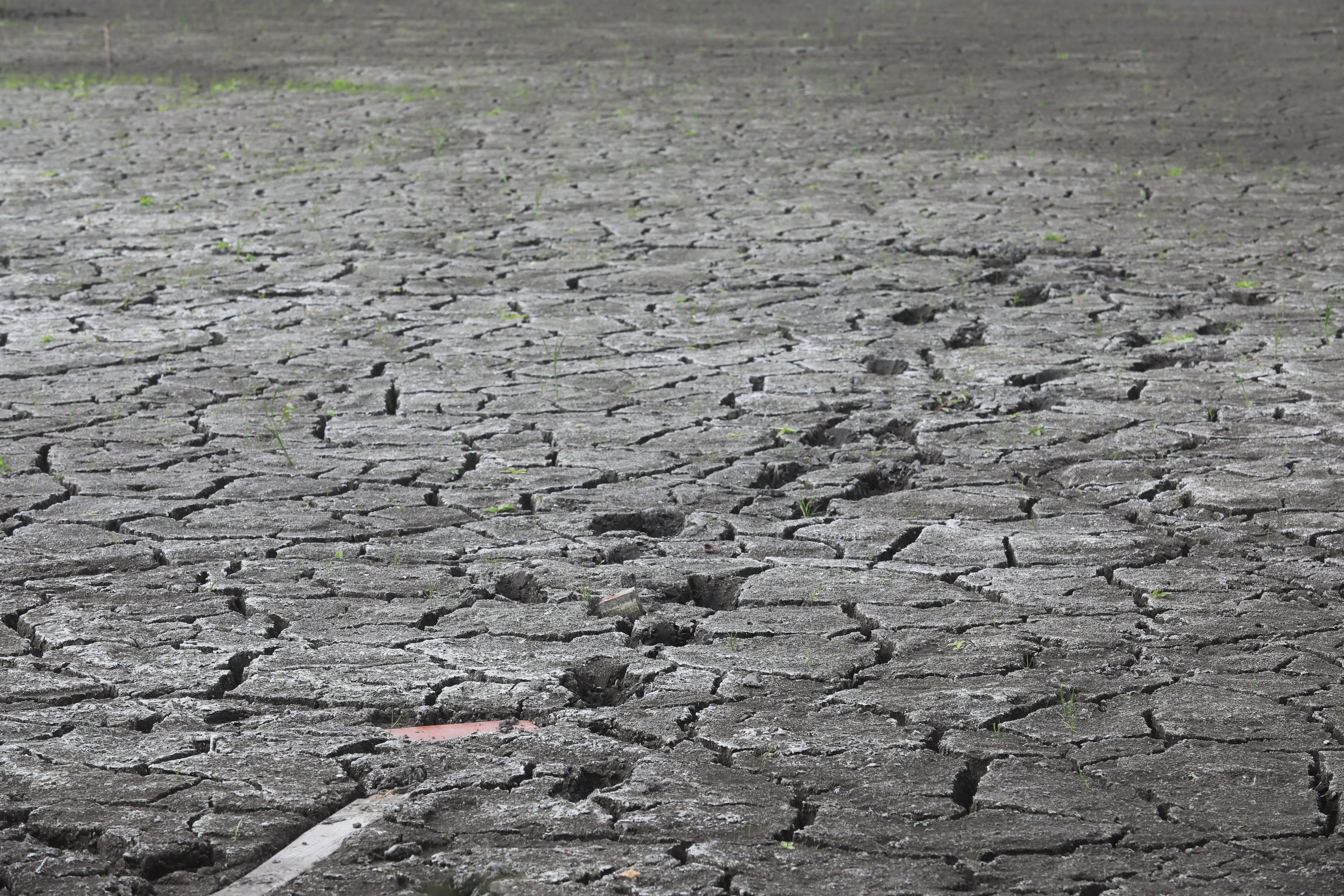 wysuszona spękana ziemia