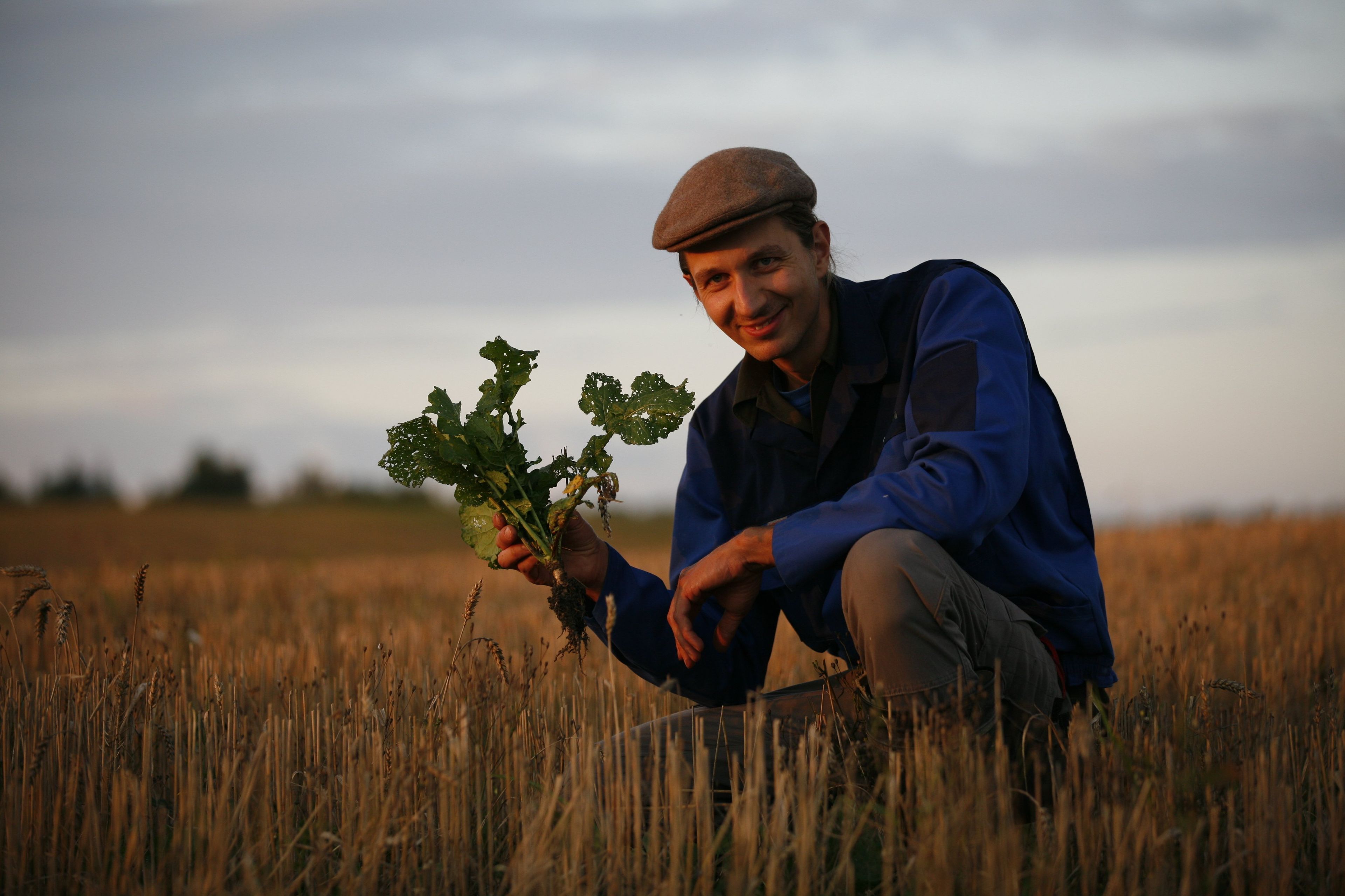 Młody mężczyzna siedzi na polu i pokazuje wyrwaną roślinę.