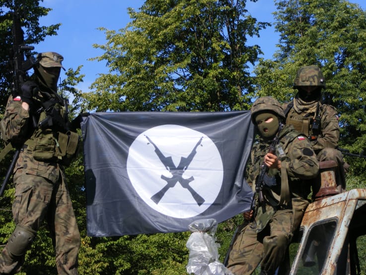 Grafika do artykułu Falanga i Zmiana idą do wojska. Jedna faszystowska, druga prokremlowska