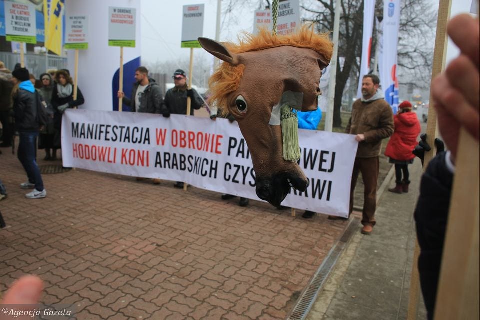 Grafika do artykułu SKÓRZYŃSKI COFA CZAS. Rada Europy: Trybunał Konstytucyjny w Polsce został sparaliżowany. Jarosław Kaczyński: nie chodzi o żaden Trybunał. Kronika (2-8 kwietnia 2016)