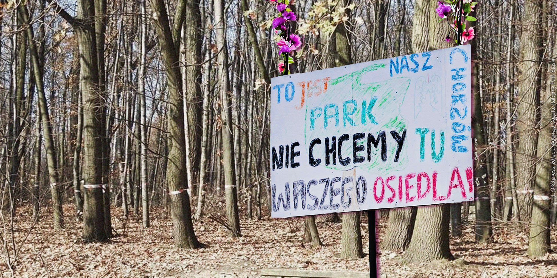 Kolaż transparentu z napisem "To jest nasz park, nie chcemy waszego osiedla, chorzów"