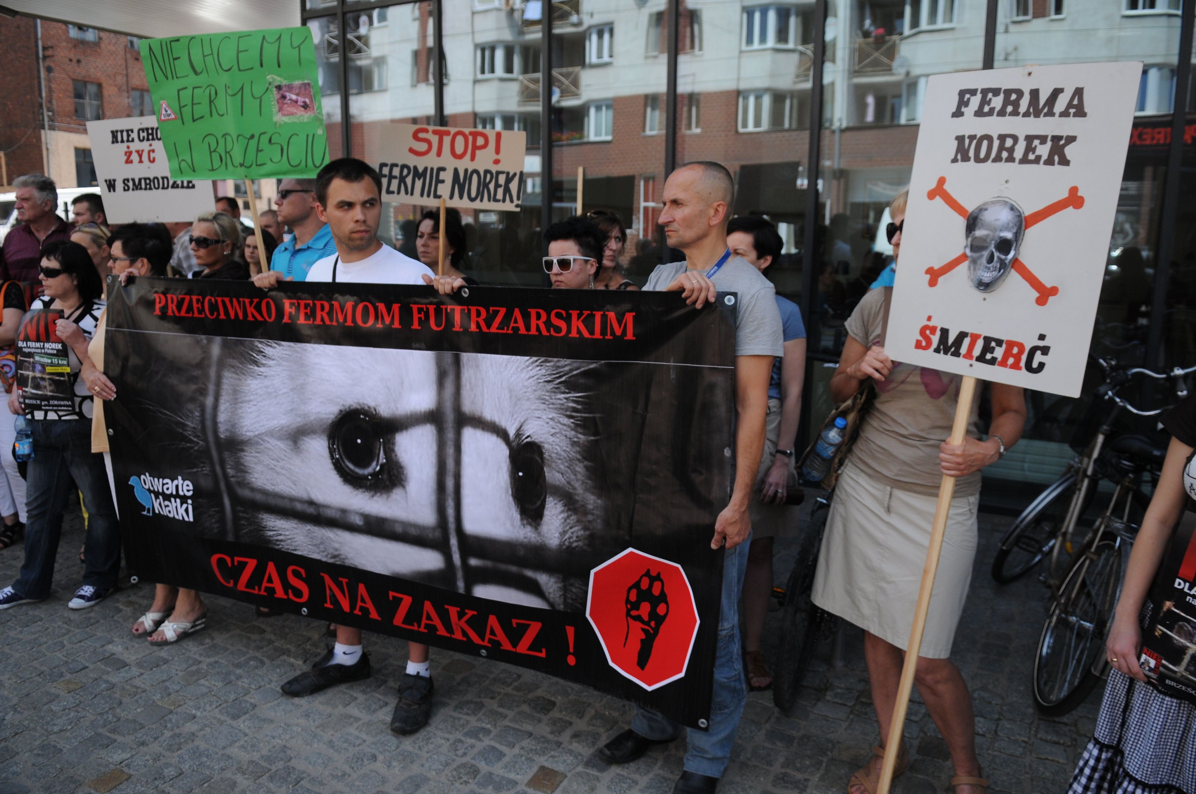 10.07.2013 Wroclaw . Siedziba Starostwa Powiatowego przy ulicy Kosciuszki 131 , protest przeciwko fermie norek w Zorawinie .
Fot. Tomasz Szambelan / Agencja Gazeta