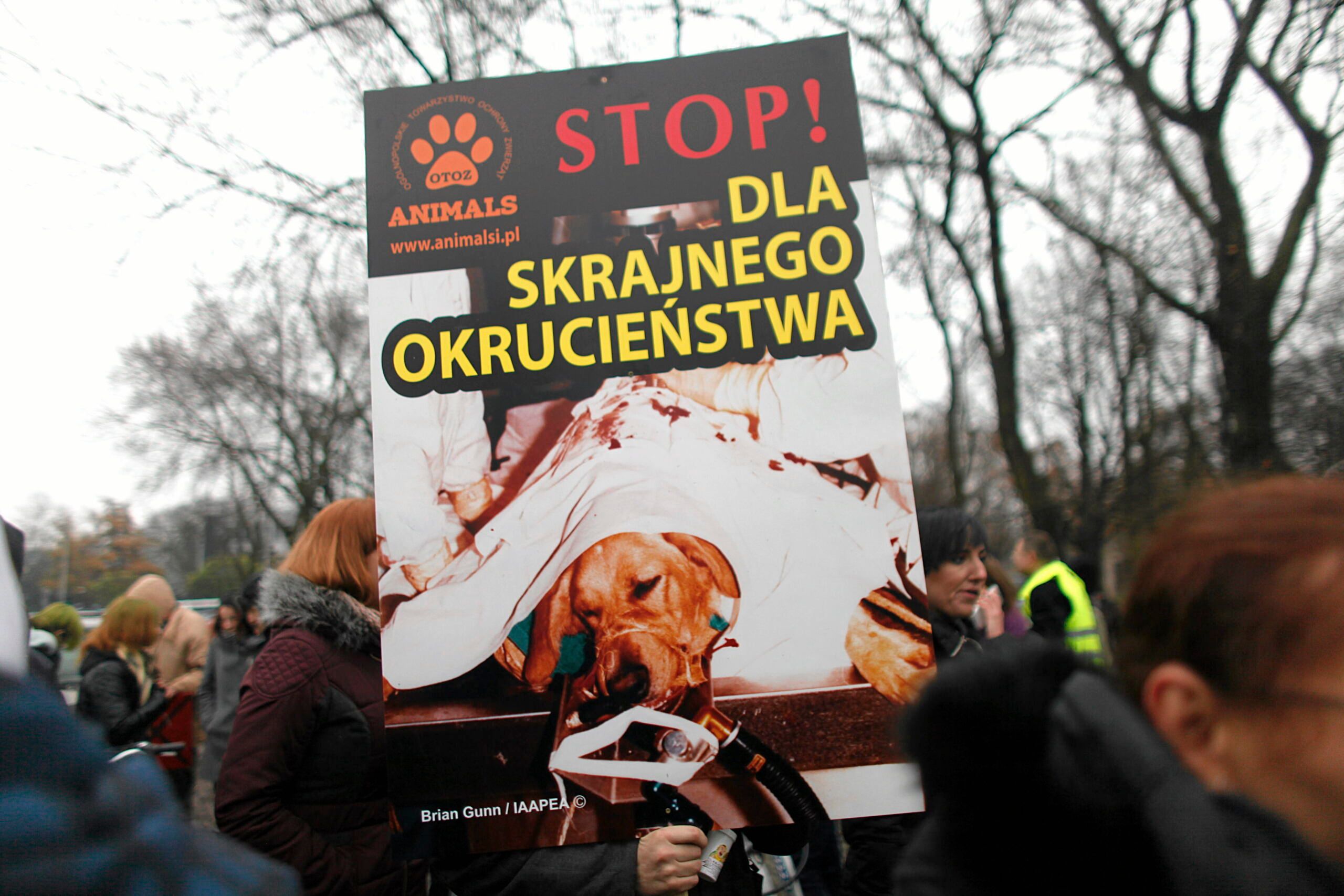 Ludzie z plakatem "Stop dla skrajnego okrucieństwa"