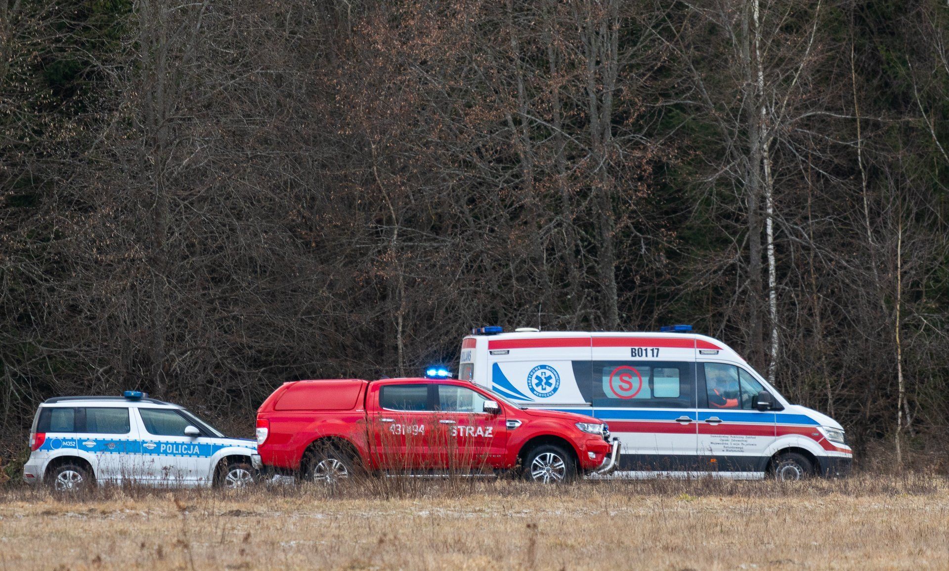 Samochody służb na skraju lasu