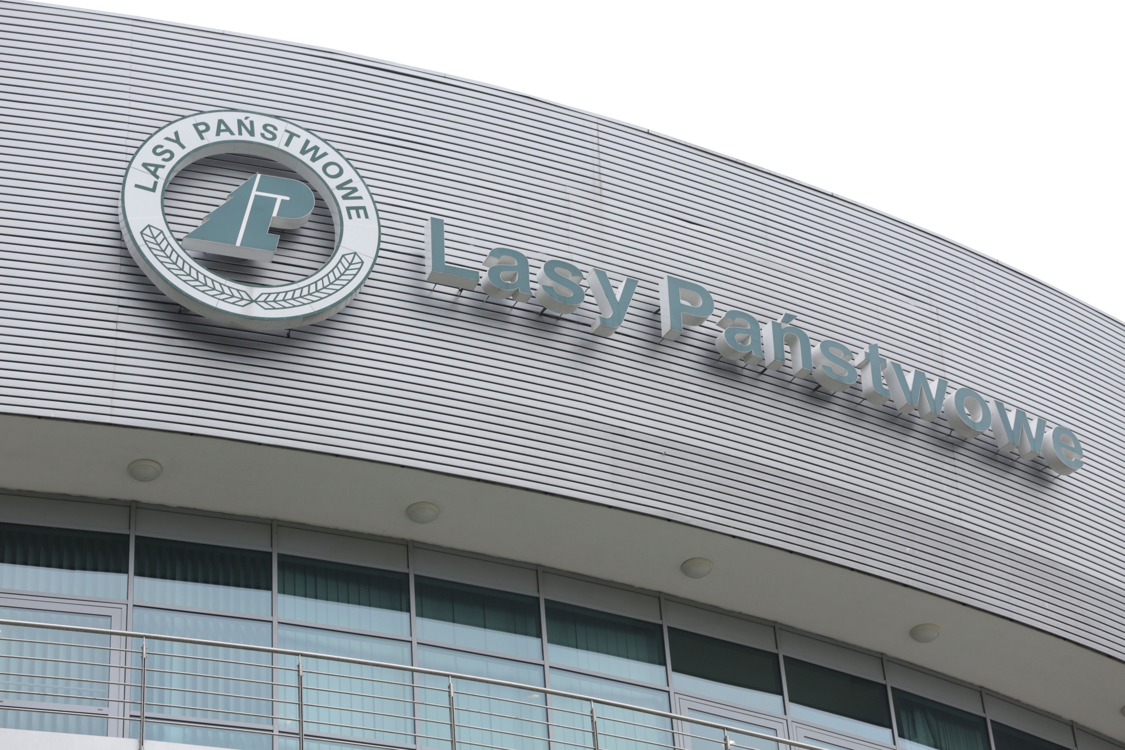szyld lasów państwowych